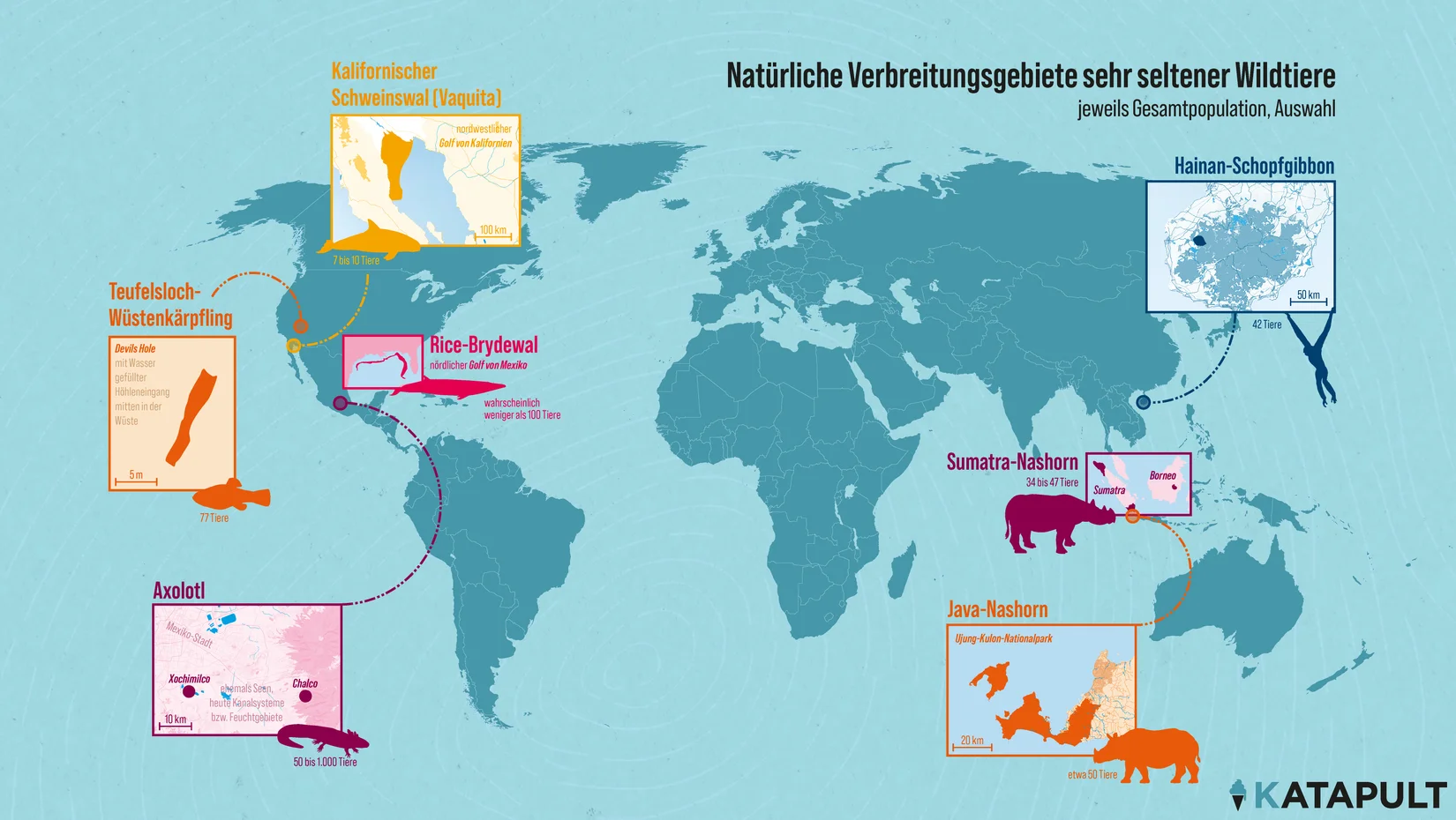 Natürliche Verbreitungsgebiete sehr seltener Wildtiere