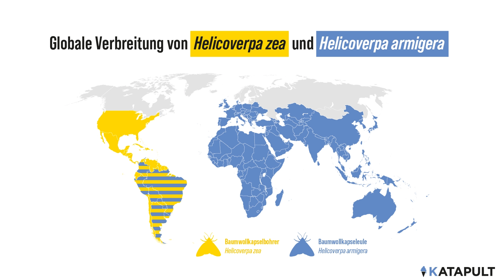 Weltweite Gefahr durch Superschädling