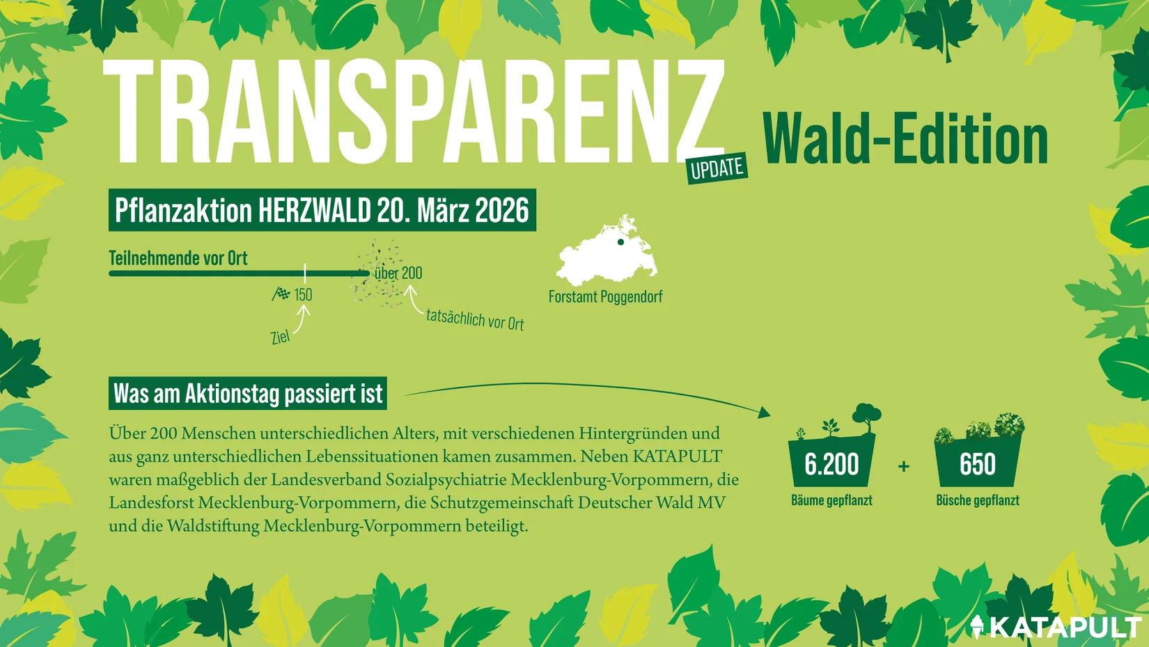 Fakten zum KATAPULT-Wald und zu Pflanzaktionen