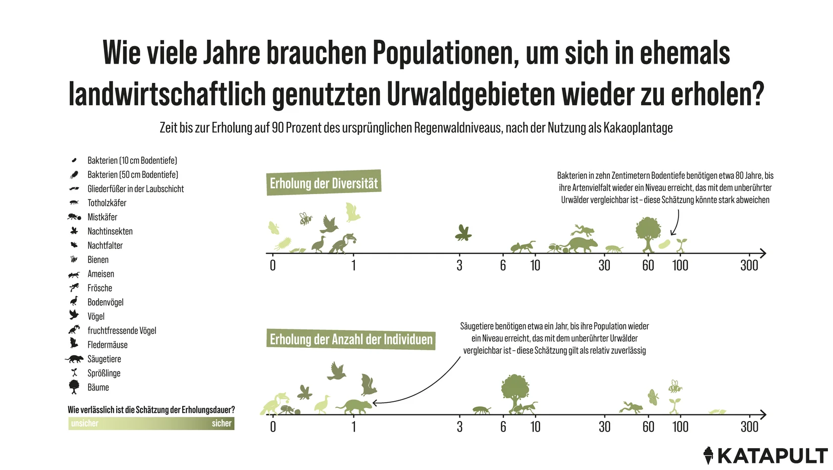 Tropische Wälder sind widerstandsfähiger als gedacht