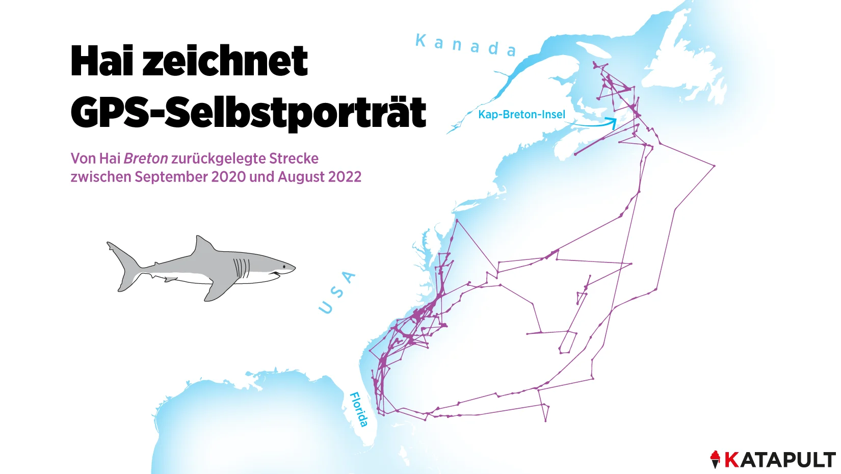 Hai zeichnet GPS Selbstportrait