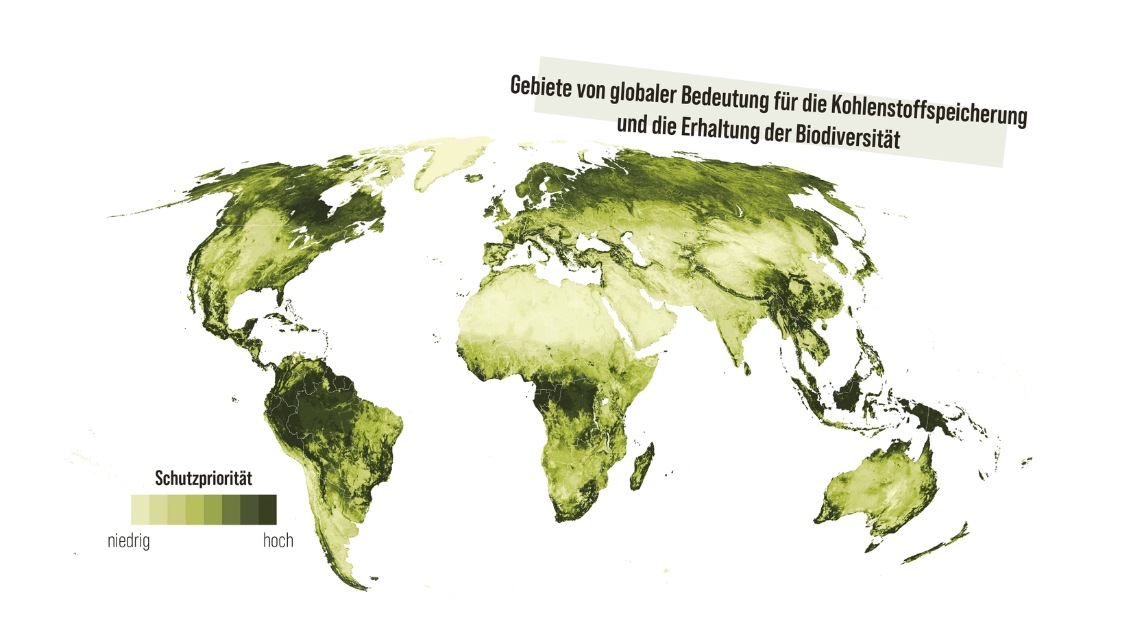 Zwischen Gewalt und Profitdruck