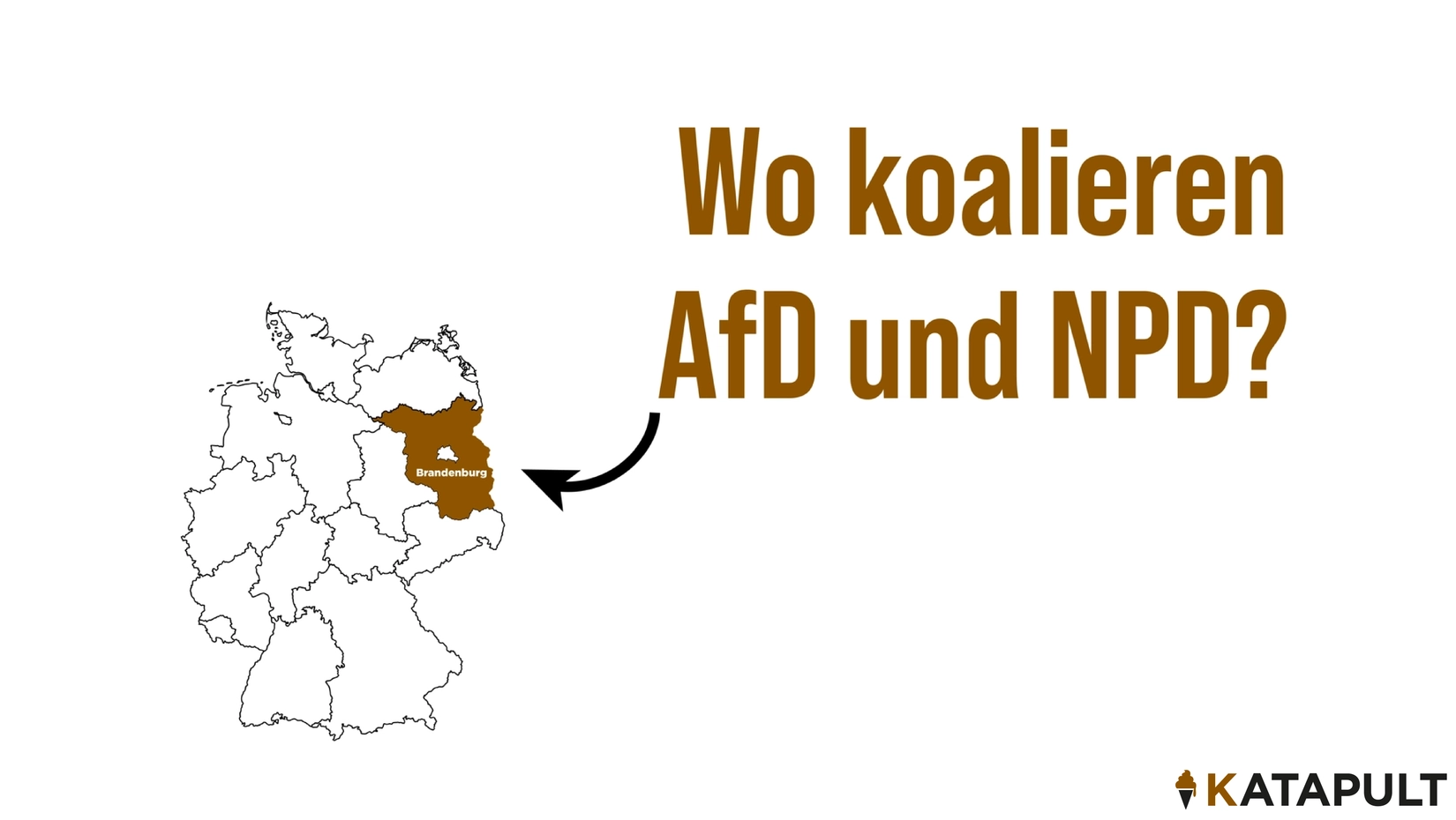 Wo koalieren AfD und NPD?