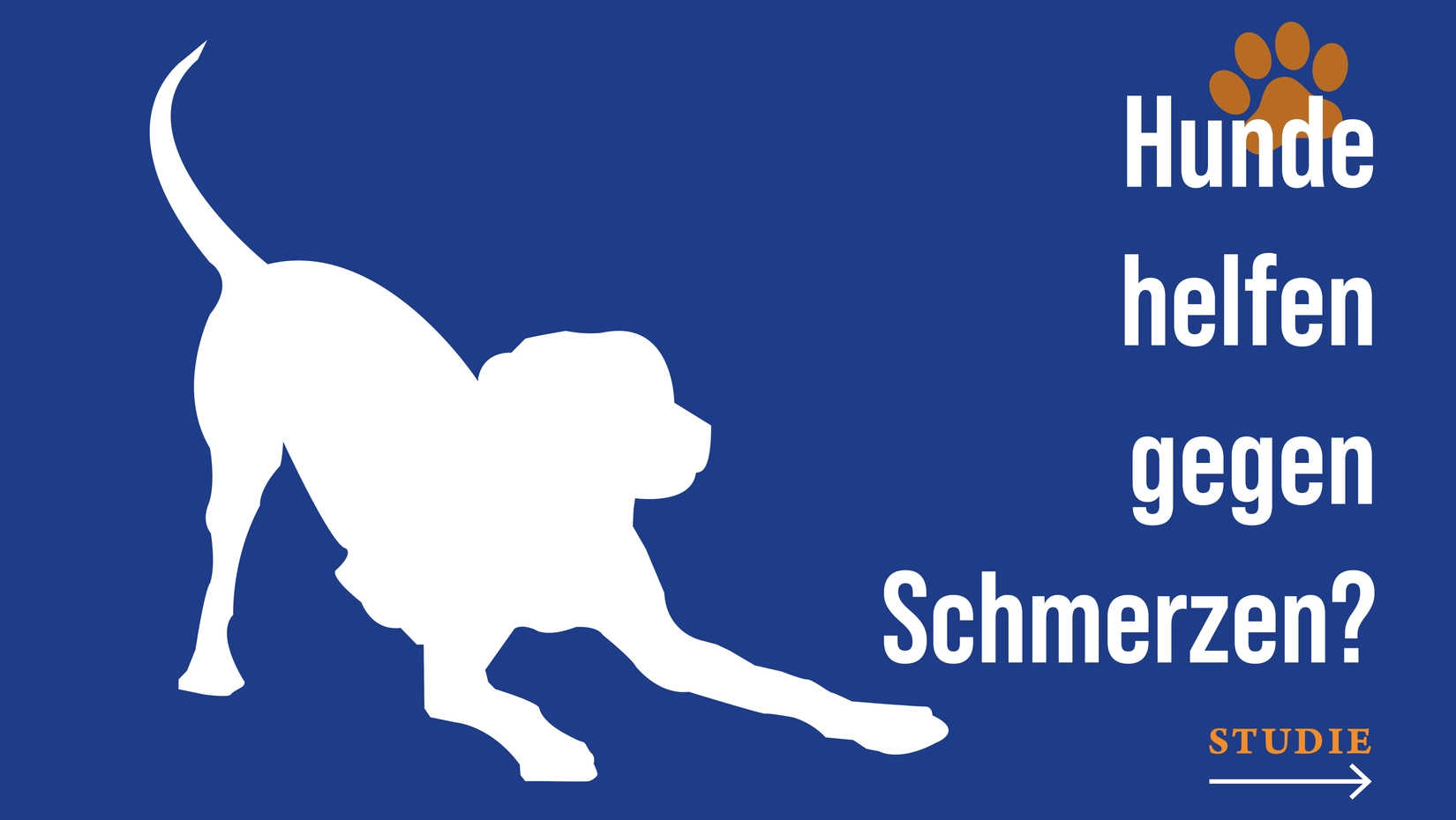 Wer seinen Hund zum Arztbesuch mitnimmt, hat weniger Schmerzen