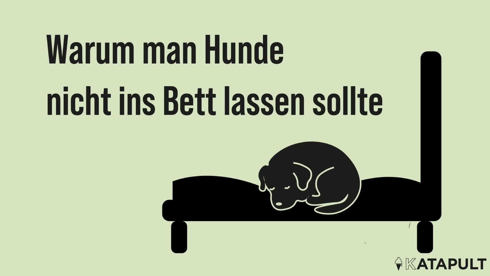 Hunde beeinträchtigen den Schlaf – werden aber trotzdem ins Bett gelassen