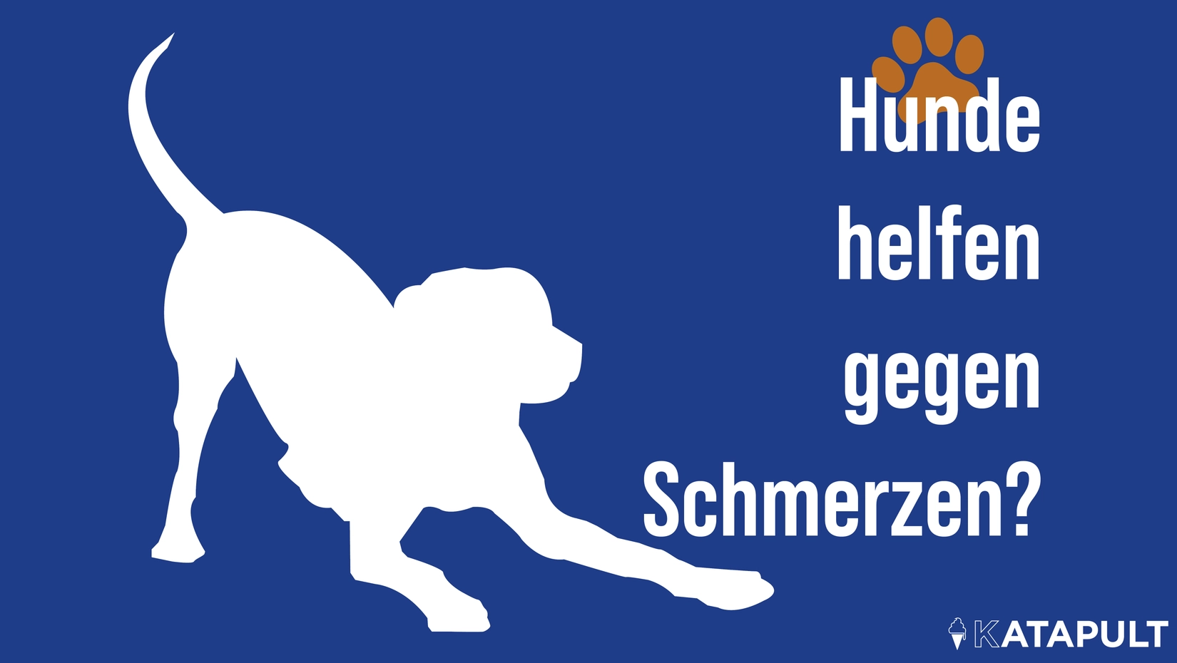 Wer seinen Hund zum Arztbesuch mitnimmt, hat weniger Schmerzen