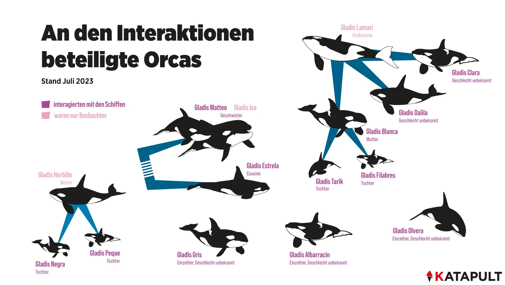 Moby-Dick heißt heute Gladis