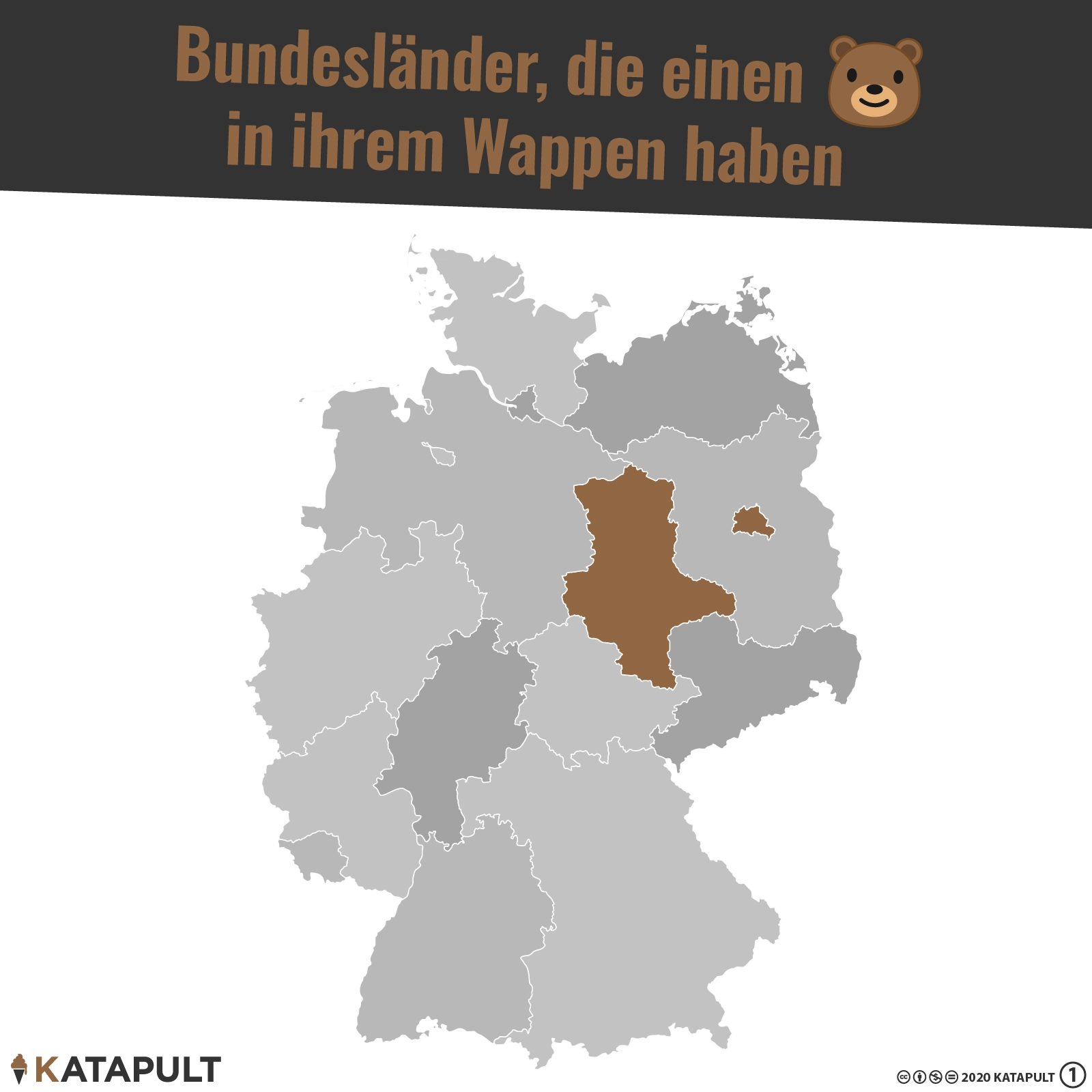 Bär in Berlin, Bär in Sachsen-Anhalt