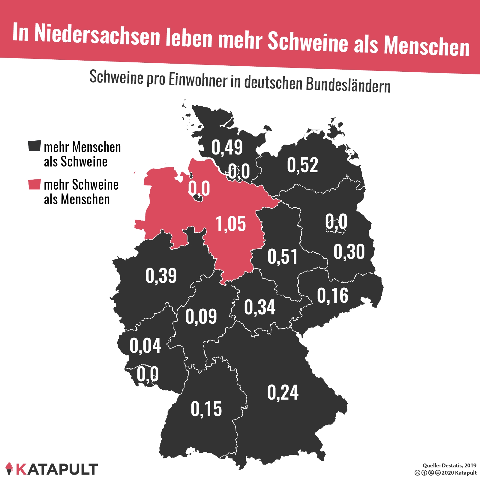 Ein Pfund Hack für 2,39 Euro und einen Finger