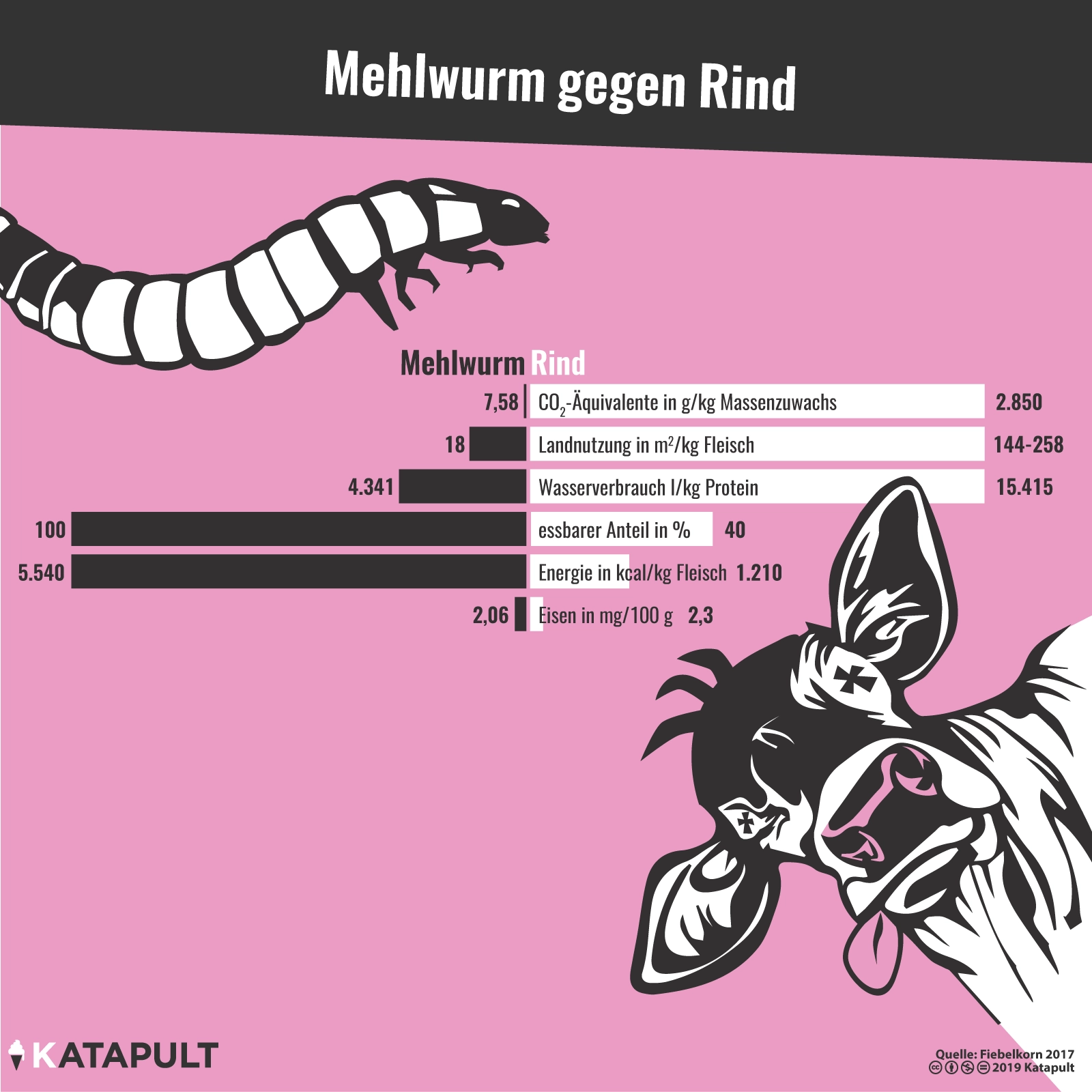 Esst Mehlwürmer!