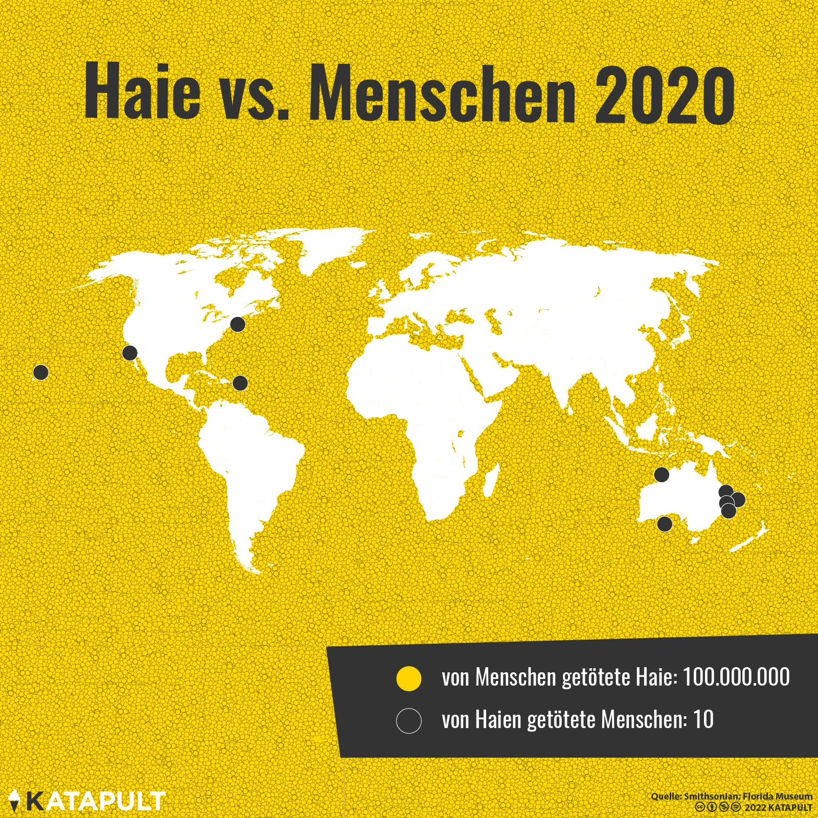 Geld gegen Flosse