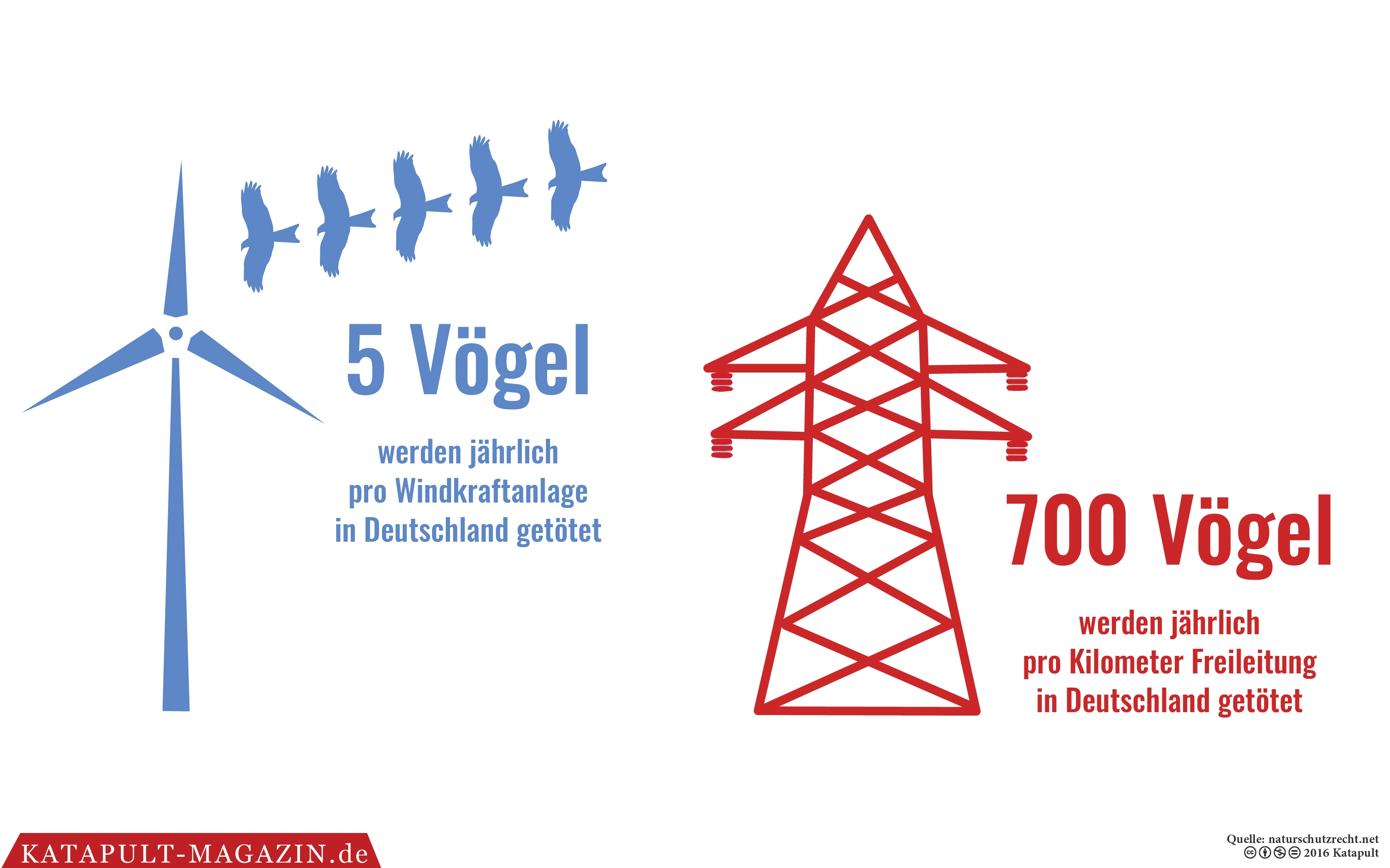 Grün gegen Grün