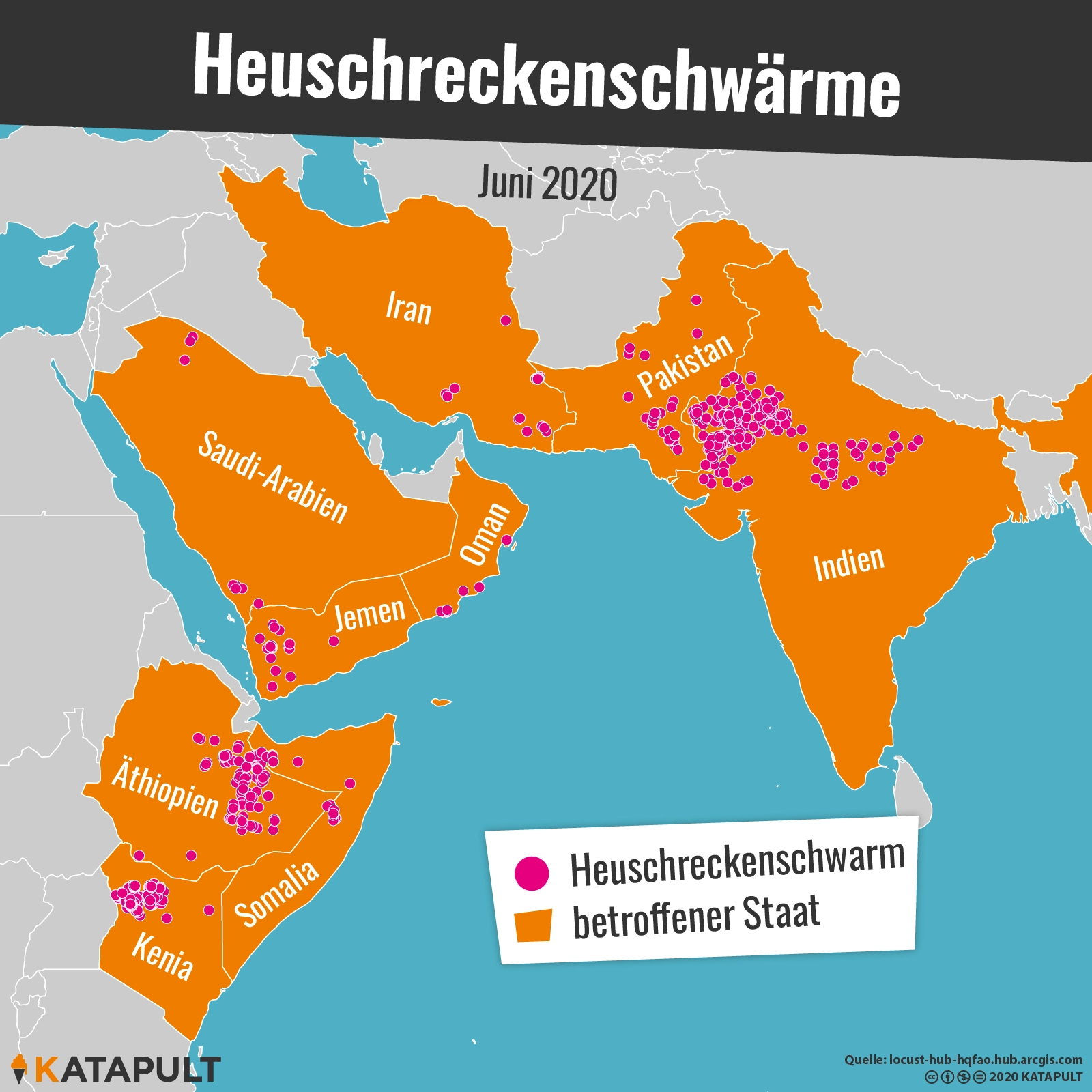 Heuschrecken treiben 42 Millionen Menschen in den Hunger