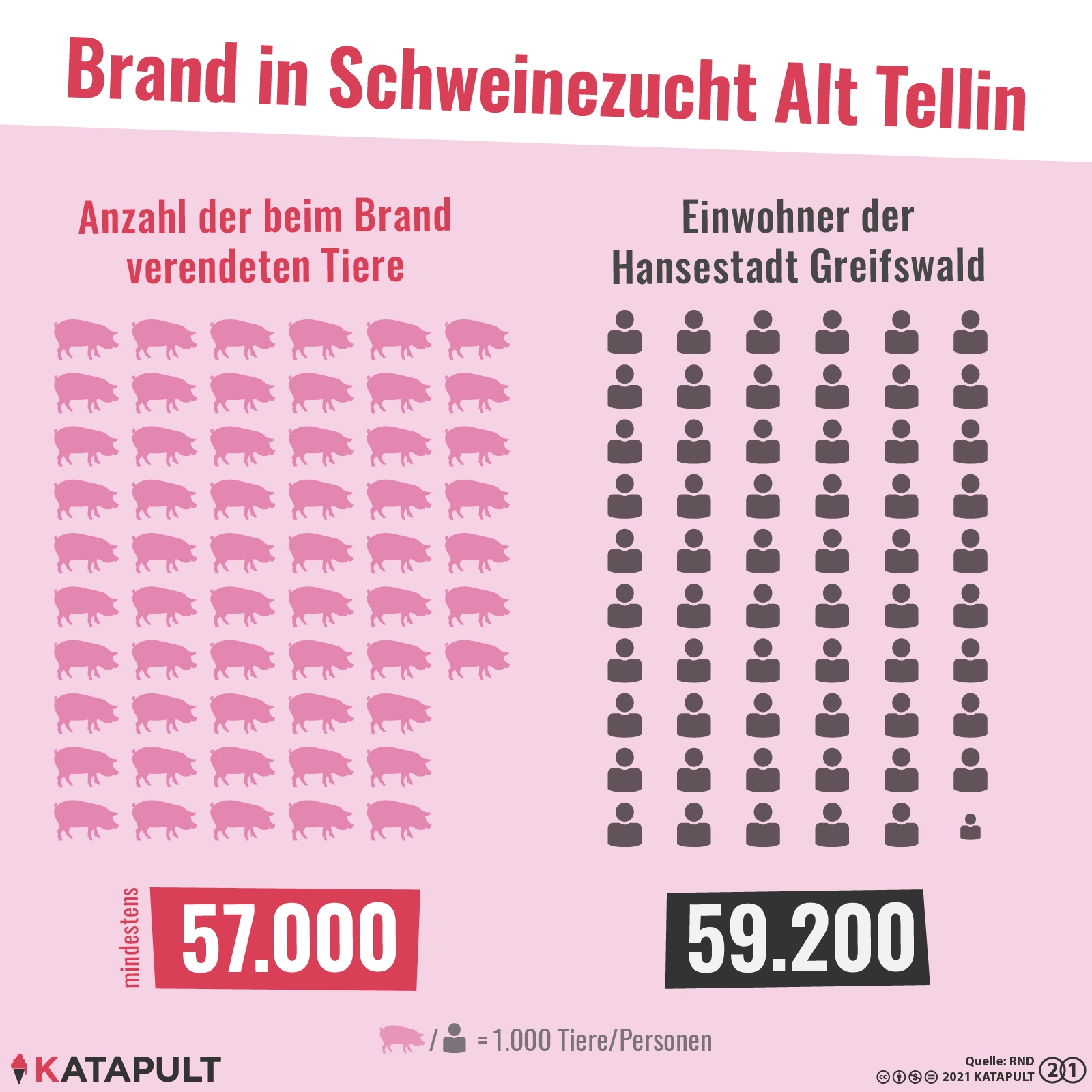 Katastrophe mit Ansage
