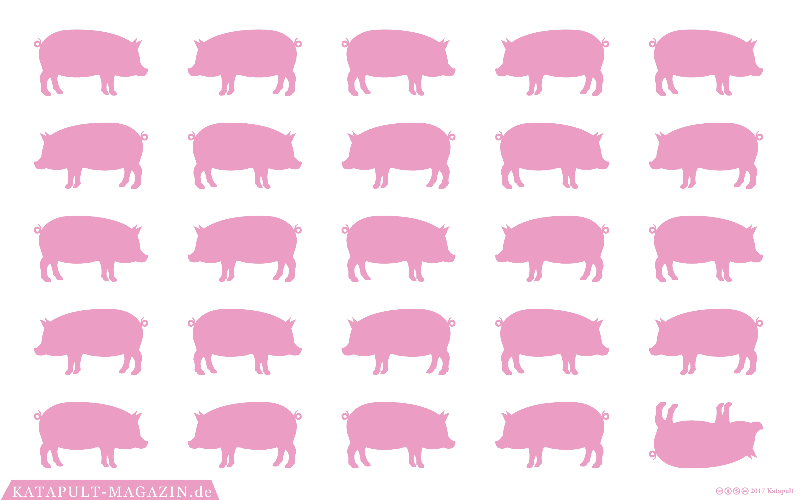 Optimistische Schweine