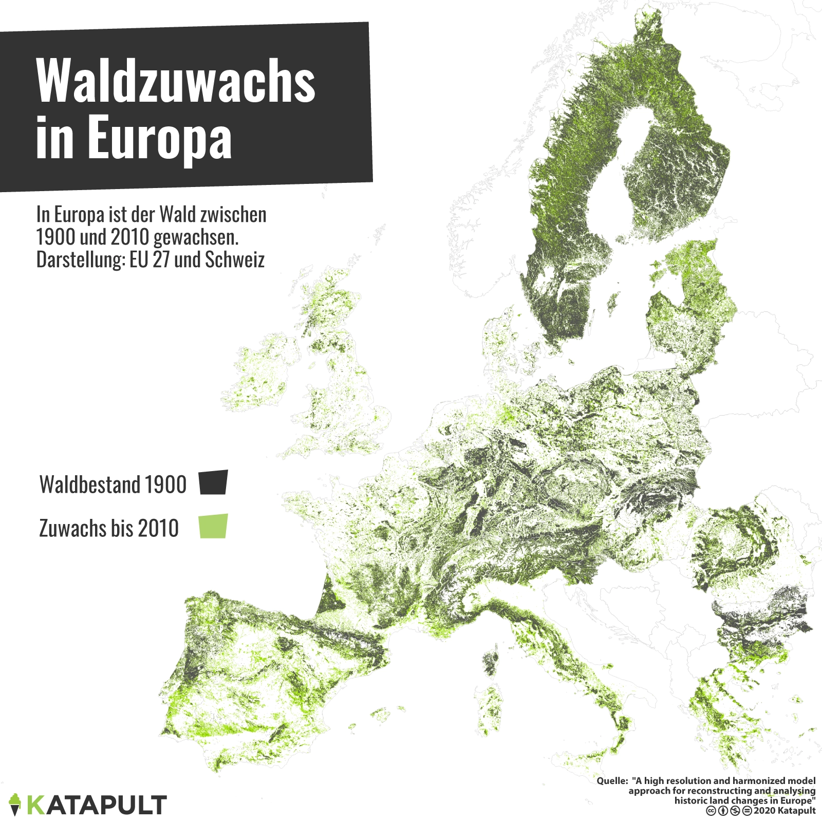 Warum neue Wälder manchmal mehr schaden als nützen