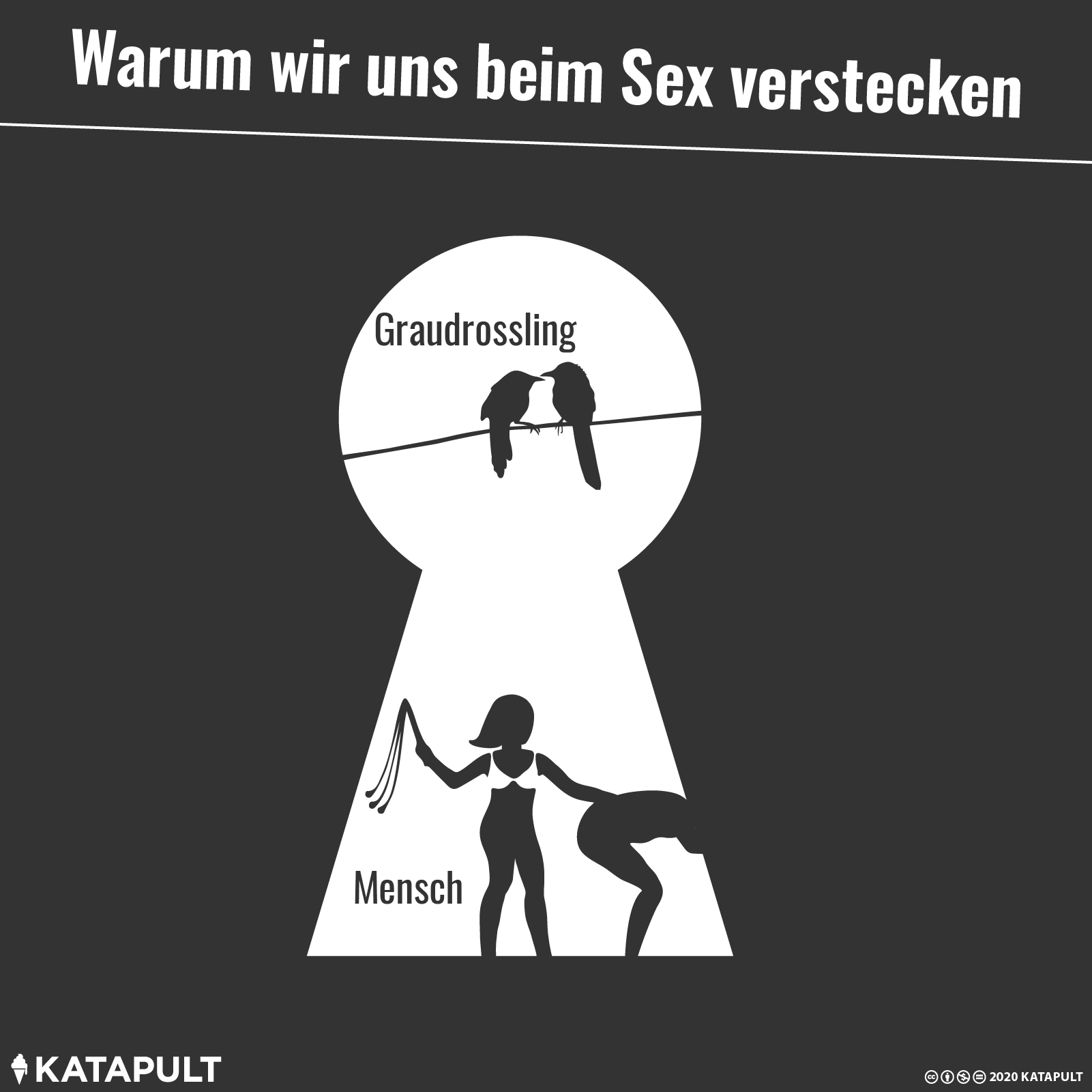 Warum wir uns beim Sex verstecken