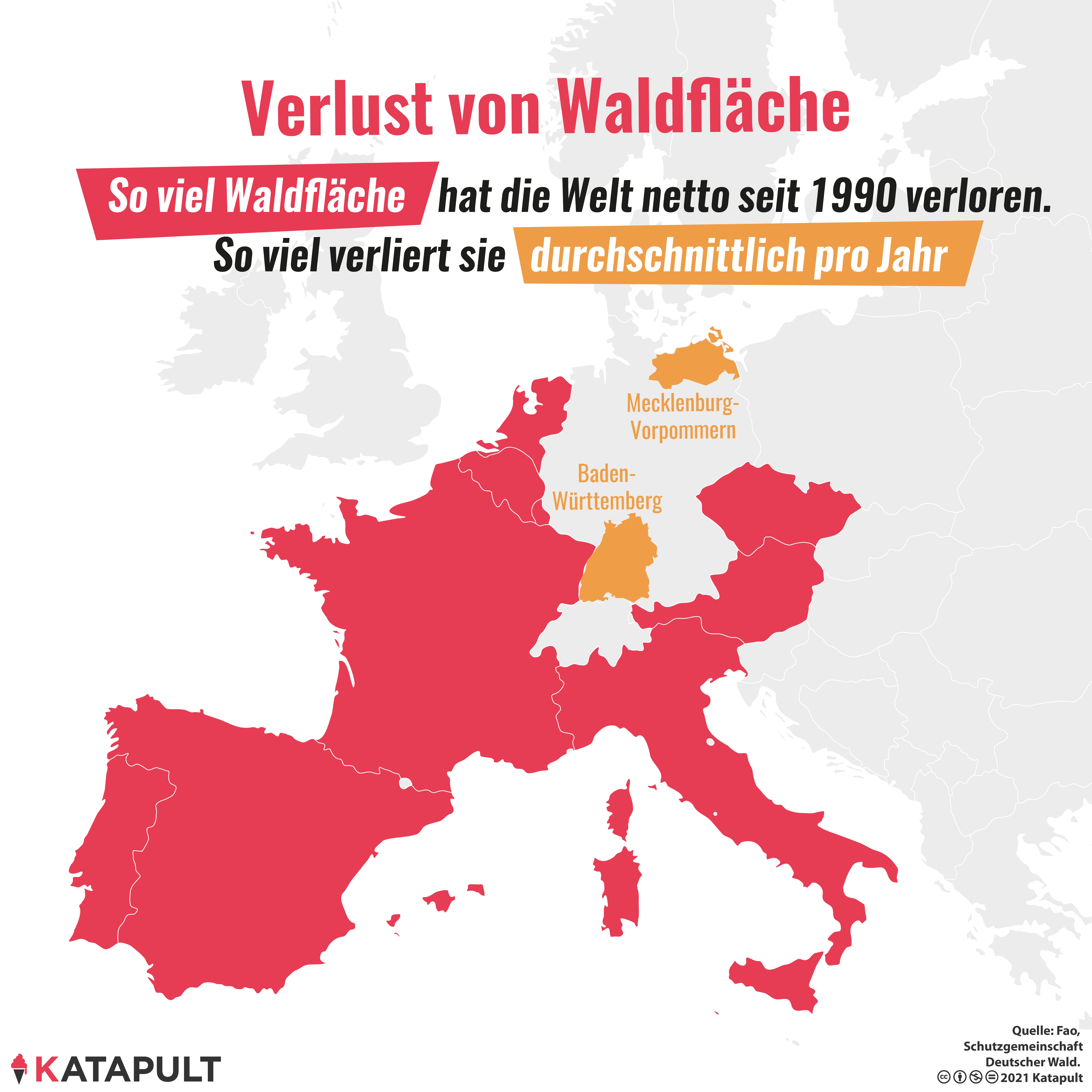 Wie man illegal einen Wald pflanzt