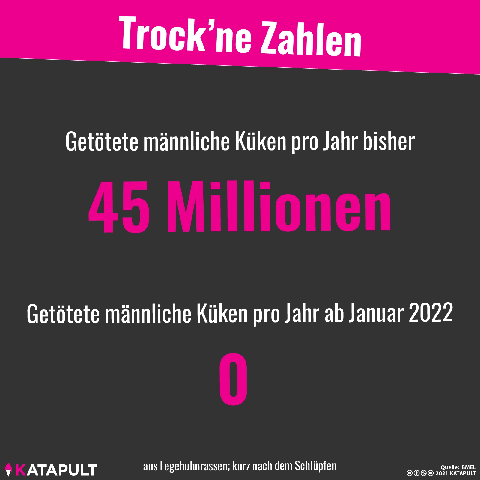 Ab jetzt Gesetz: Kükentöten verboten!