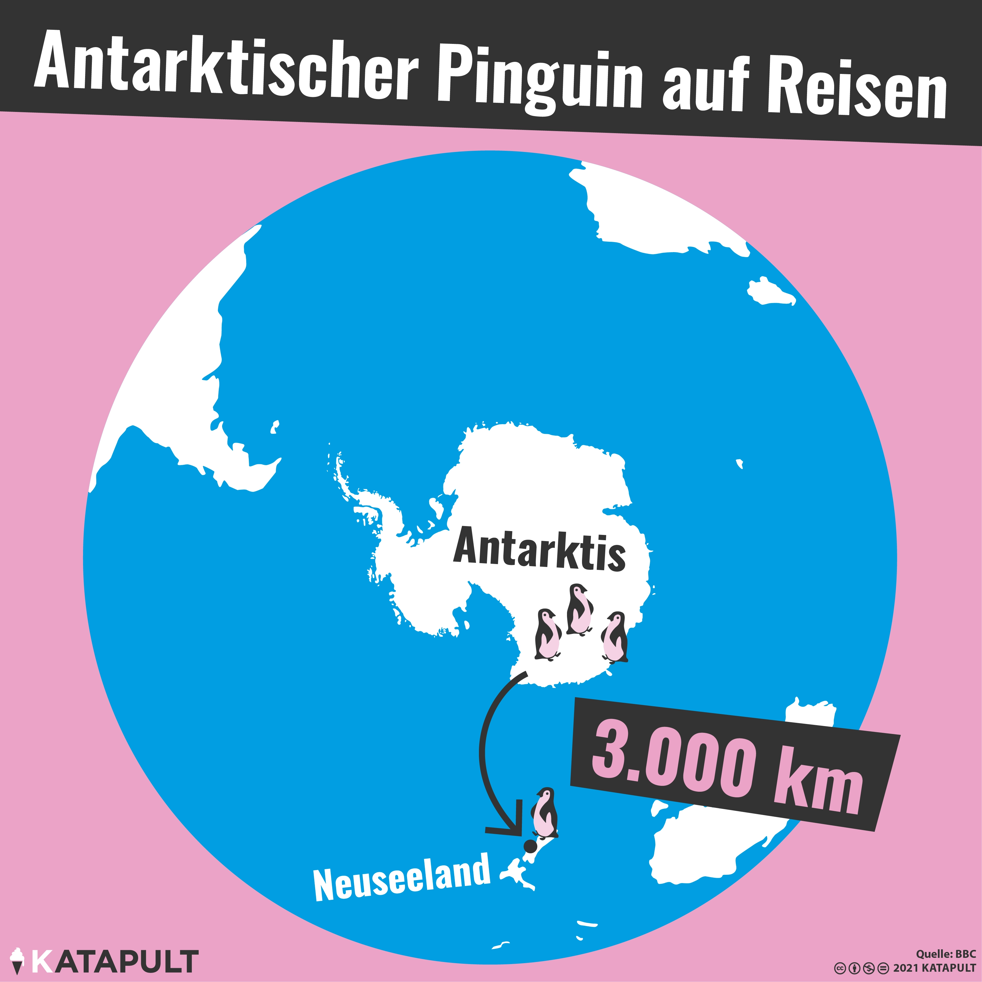 3.000 Kilometer zu weit