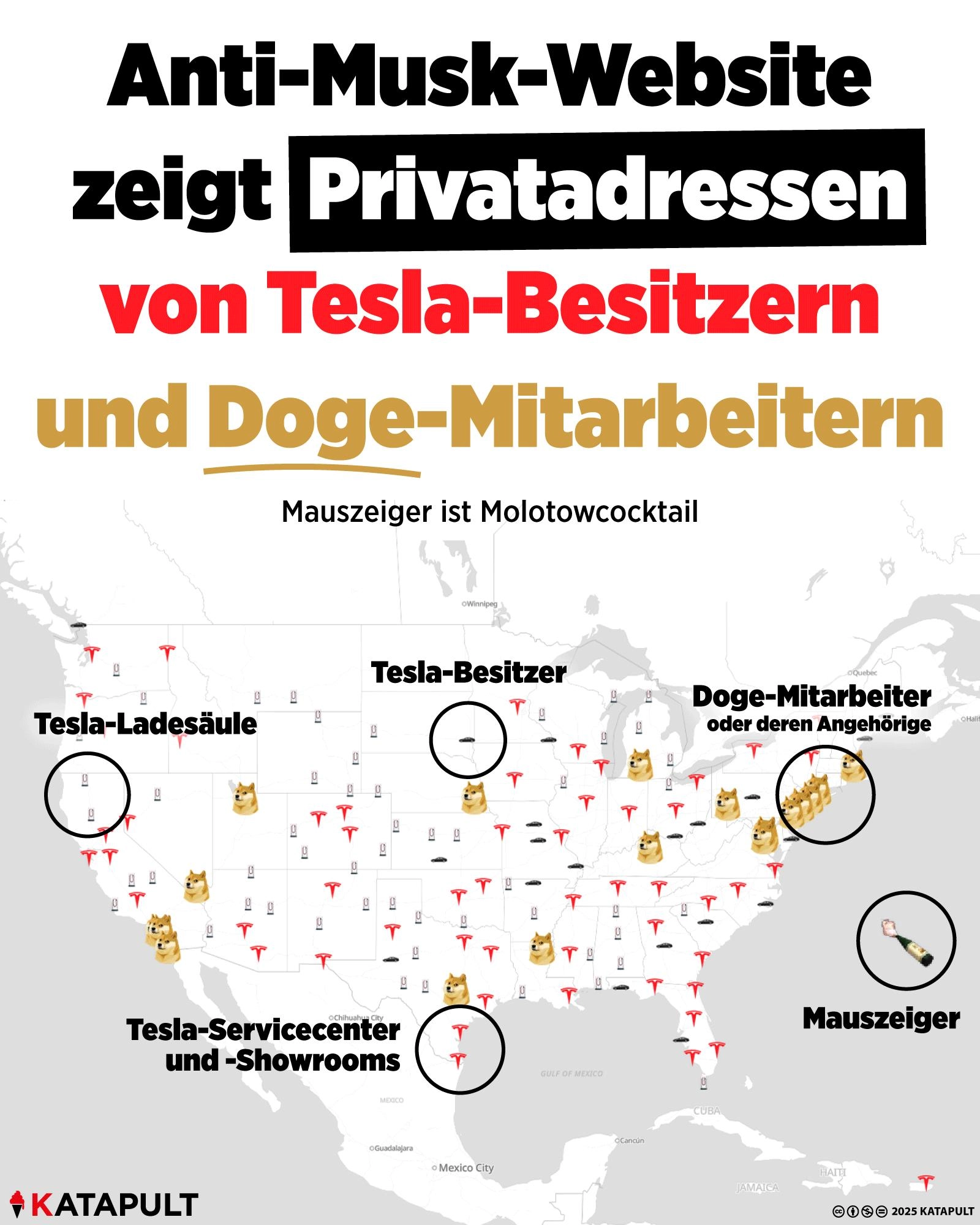 Anti-Musk-Webseite zeigt Privatadressen von Tesla-Besitzern und Doge-Mitarbeitern