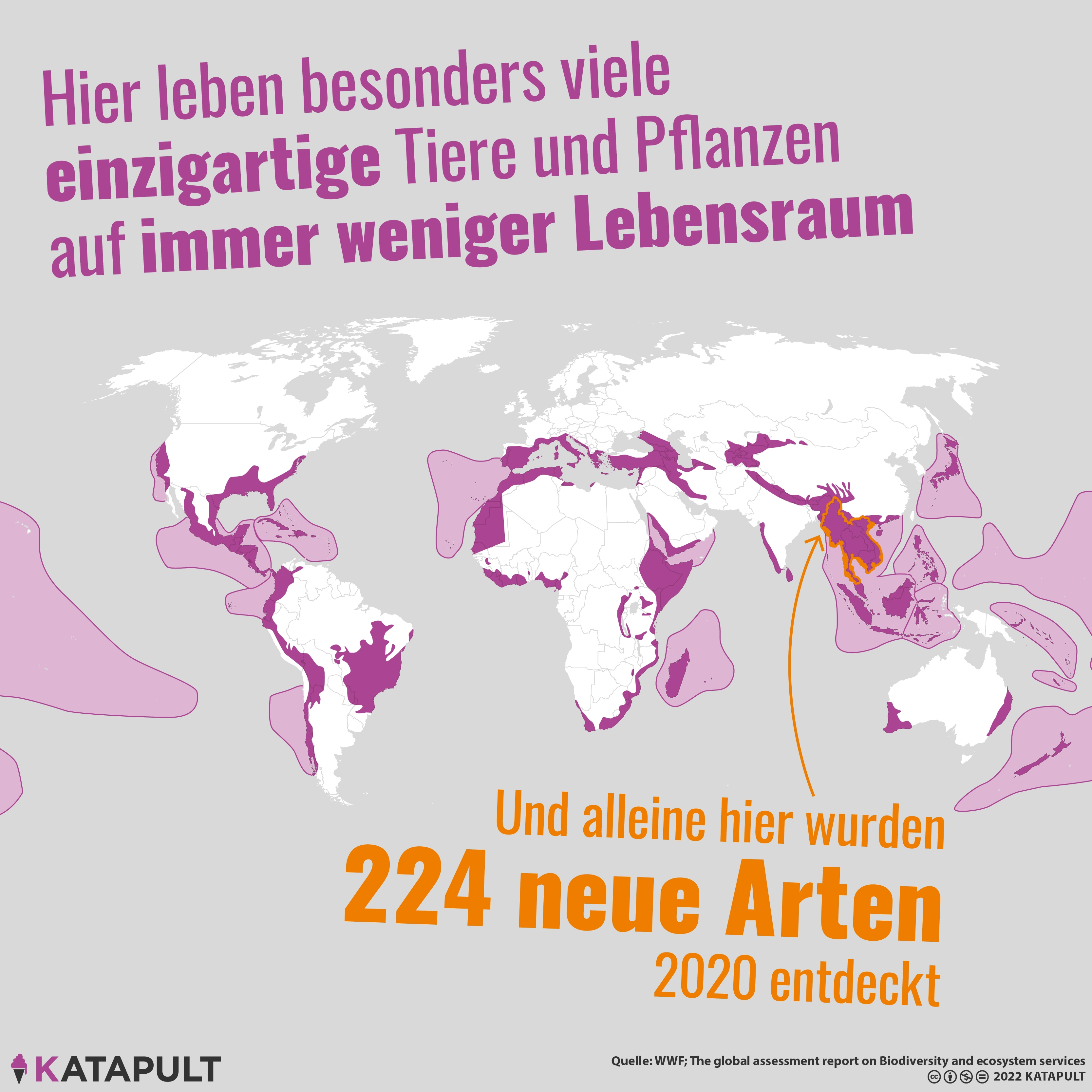 224 neue Arten entdeckt