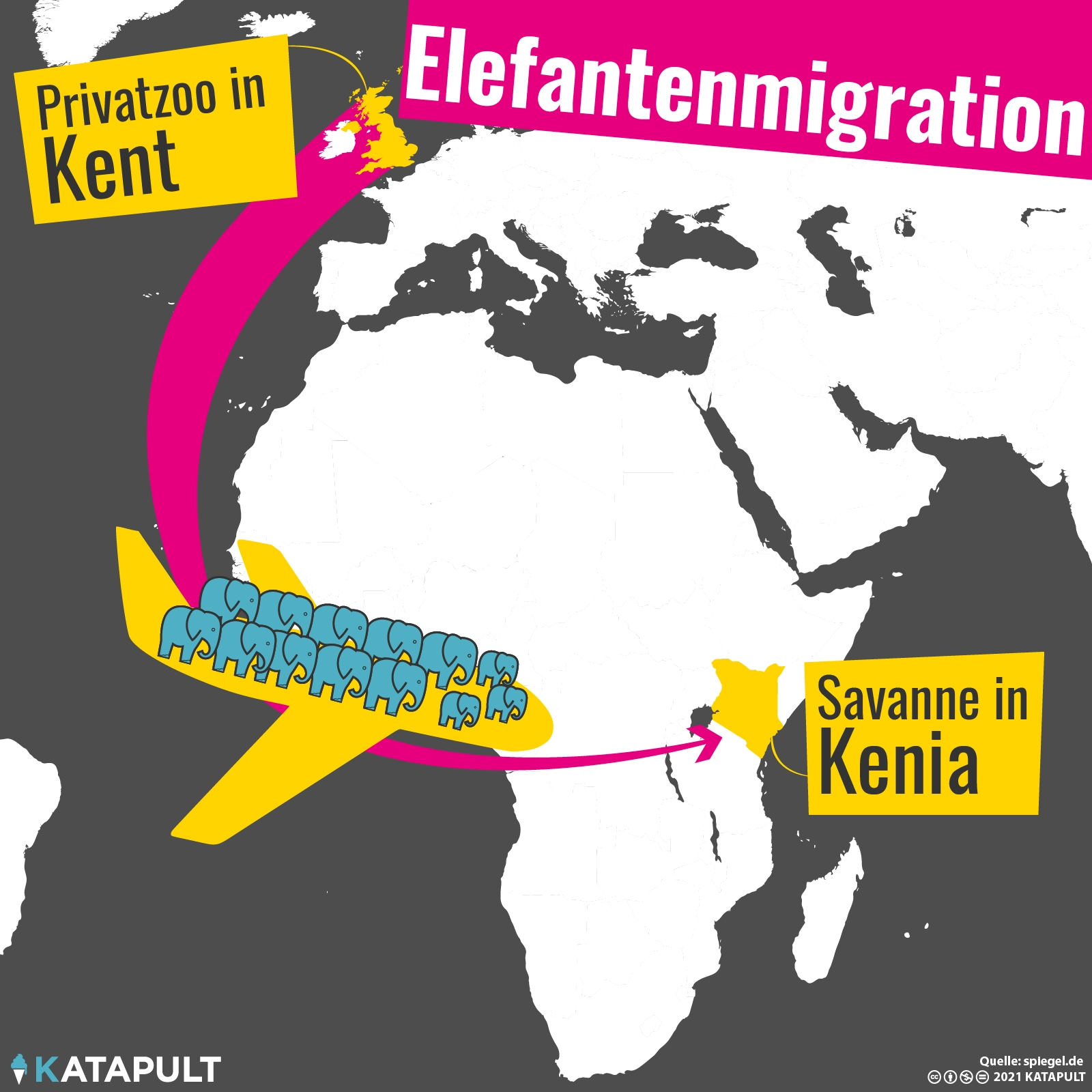 13 Elefanten fliegen