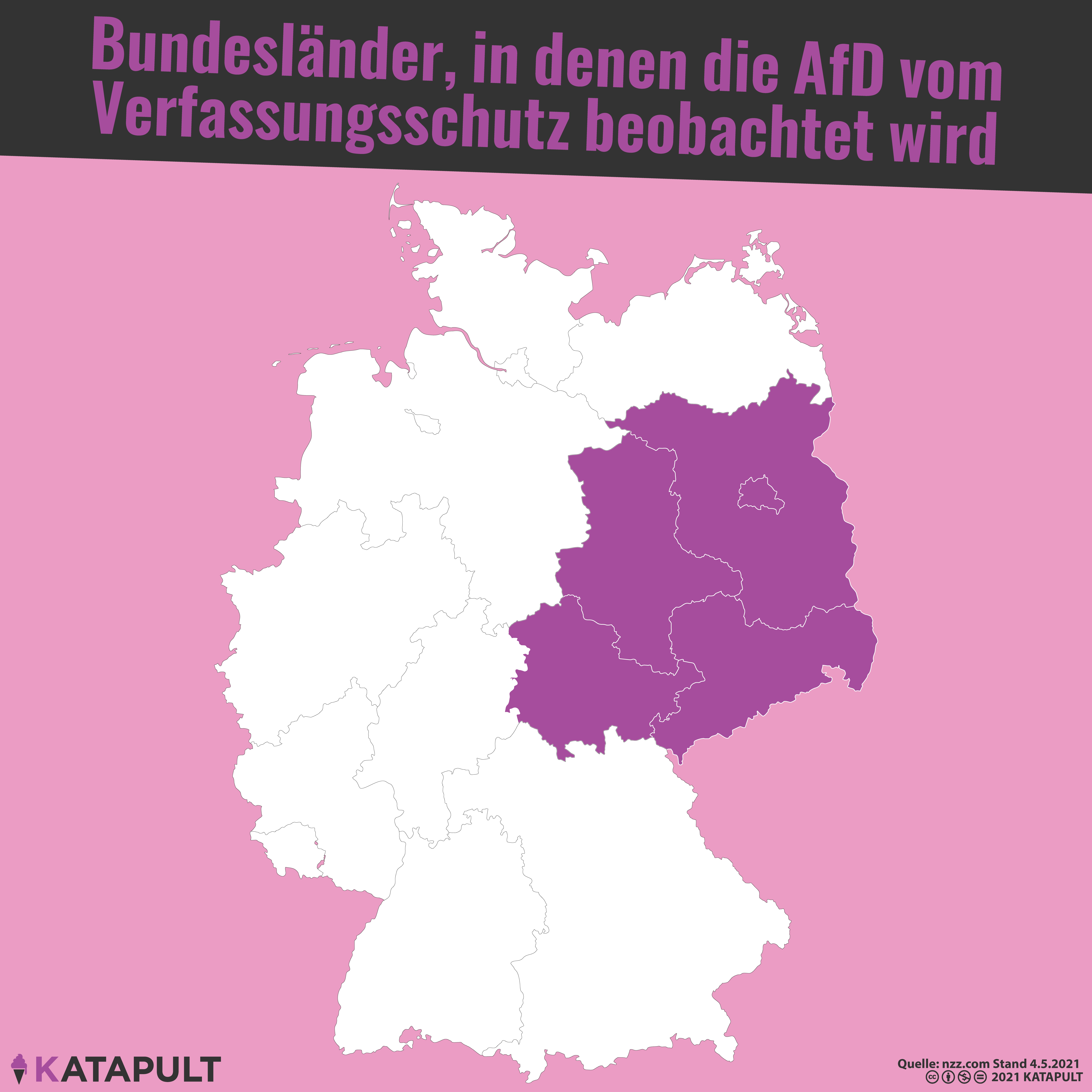 Berliner AfD wird überwacht