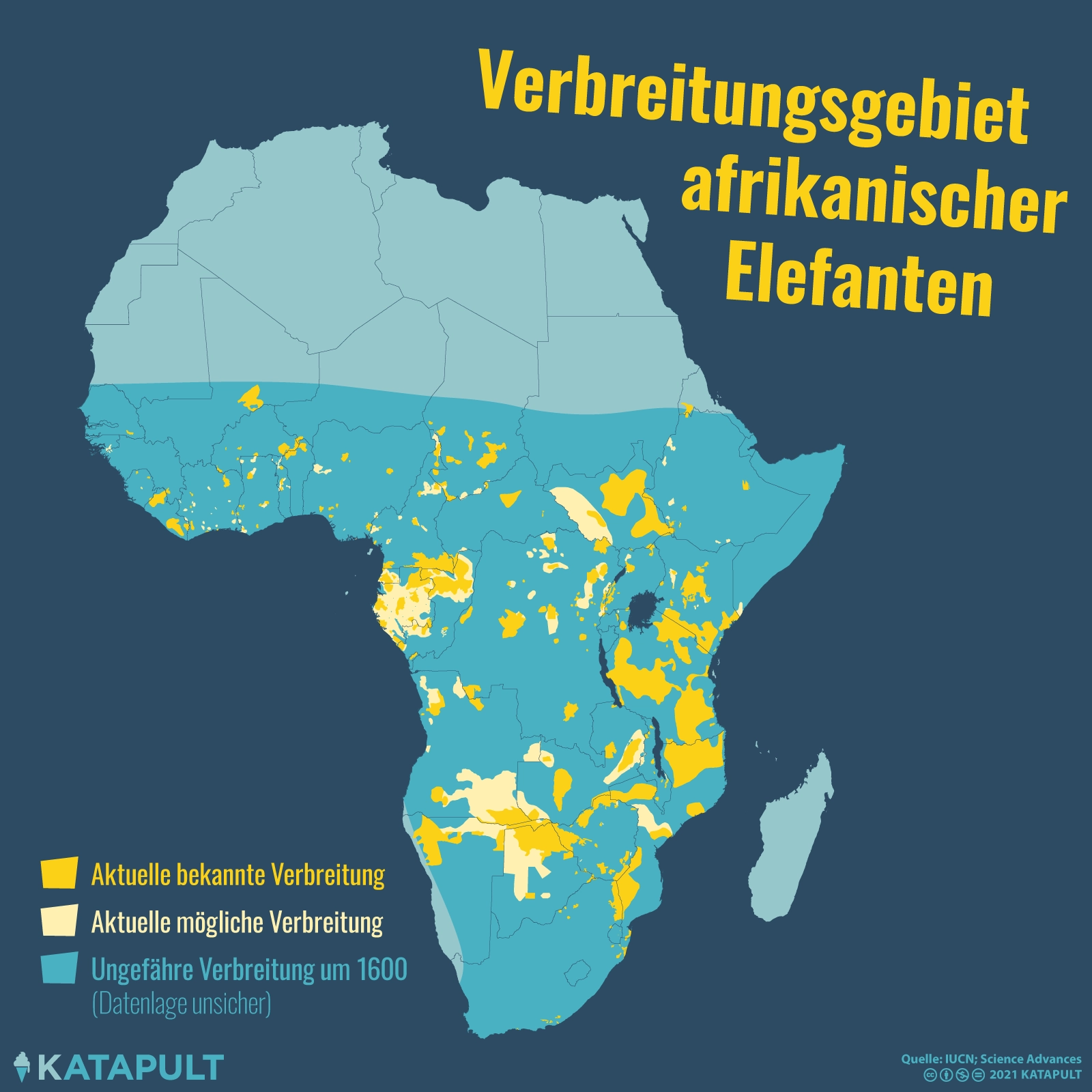 Bürgerkrieg beschleunigt Evolution