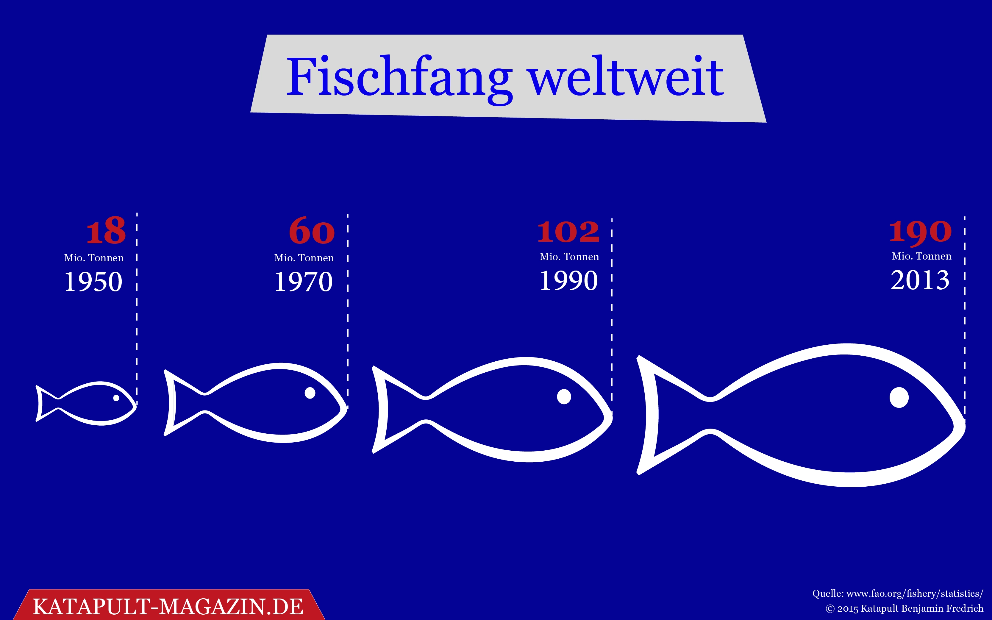 Der Fisch stinkt vom Kopf her