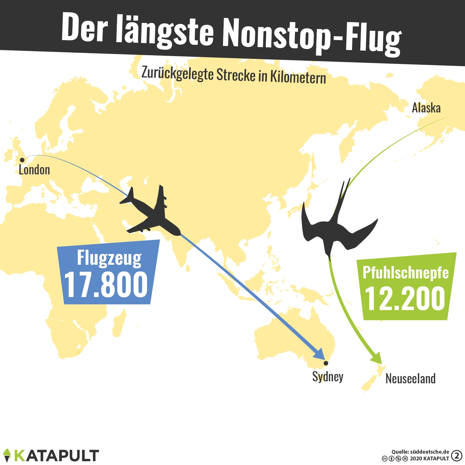 Der längste Nonstop-Flug eines Vogels