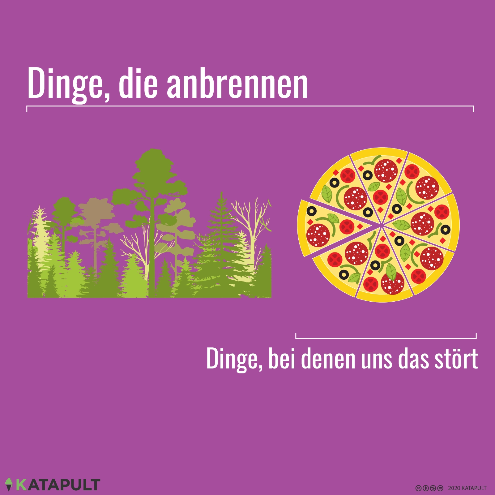 Die Wälder brennen