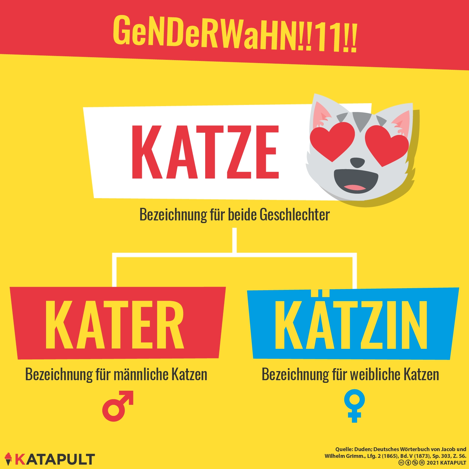 Die Katze ist eigentlich die Kätzin