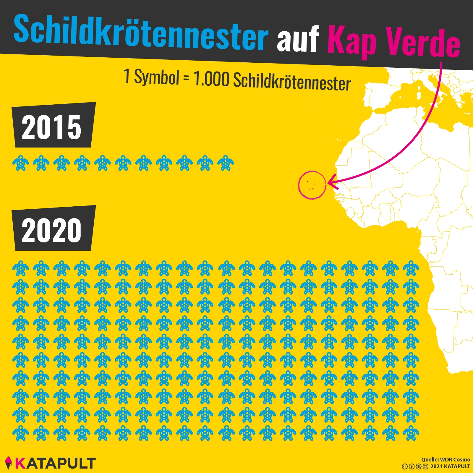 Drohnen und Hunde schützen Meeresschildkröten