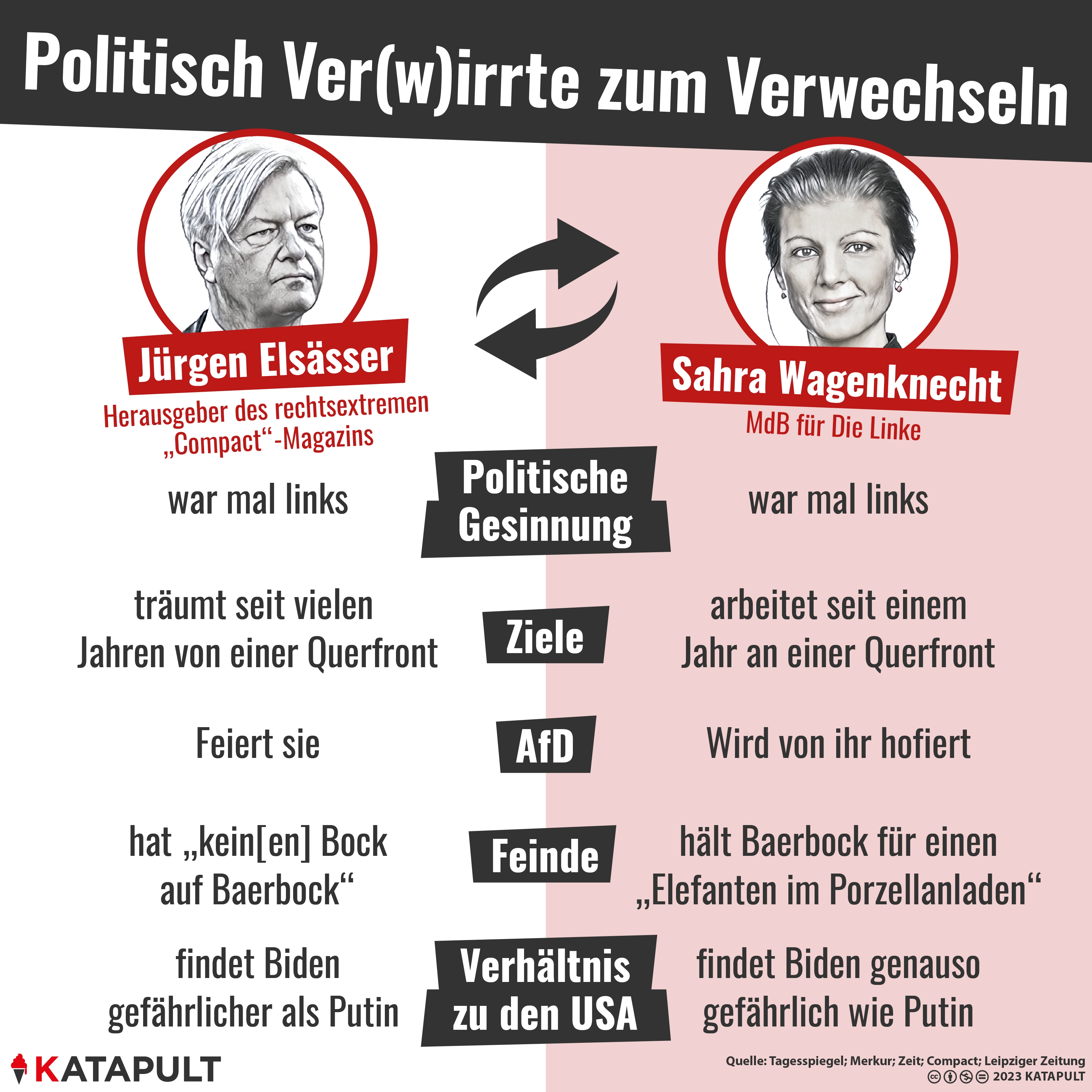 Gesichter der Querfront