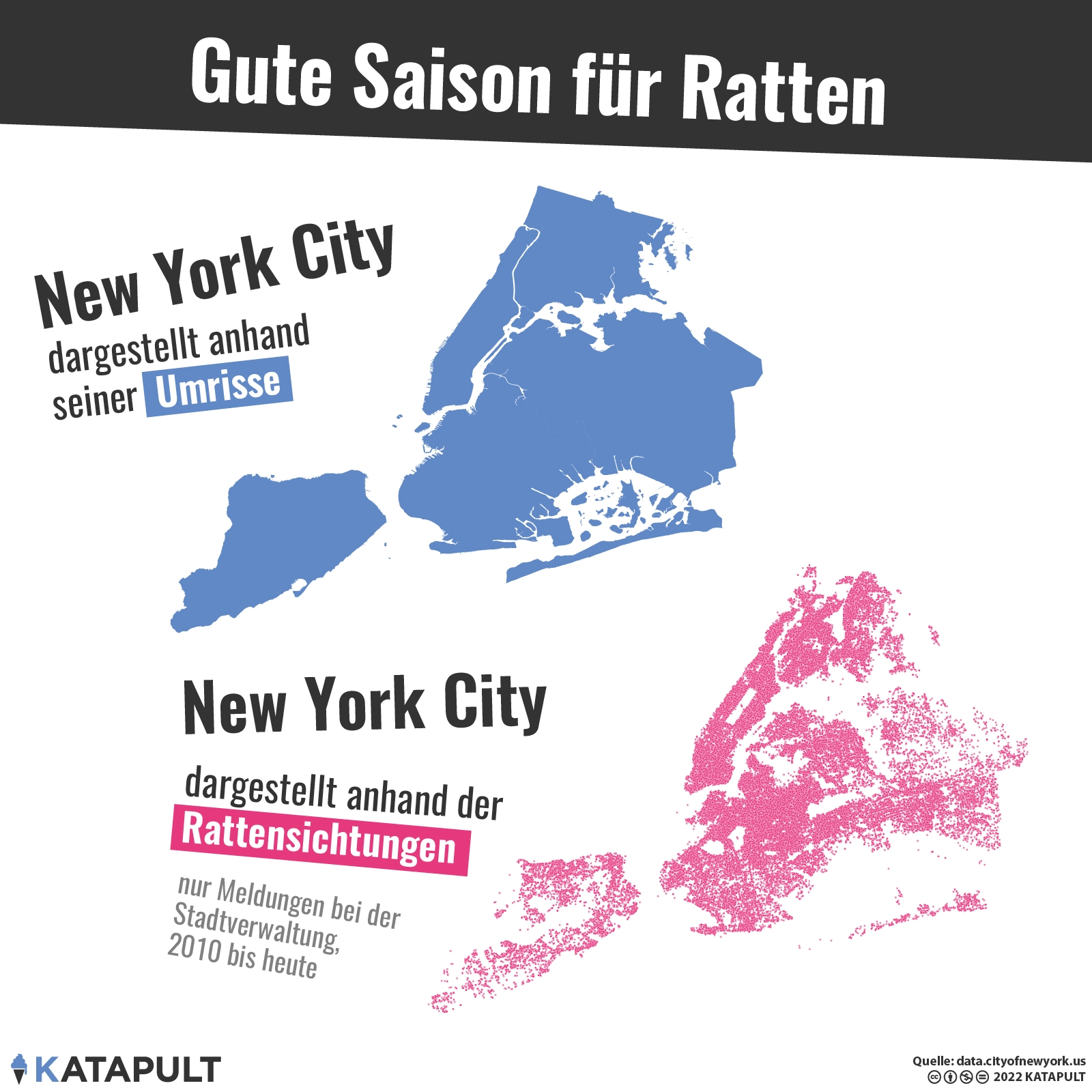 Gute Saison für Ratten