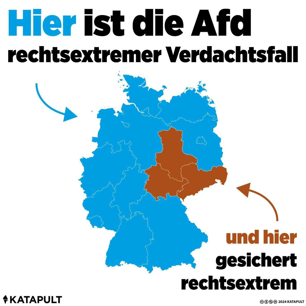 Hier ist die AfD gesichert rechtsextrem