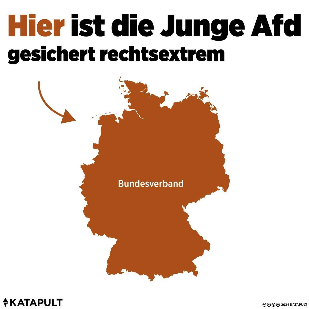 Hier ist die junge Afd gesichert rechtsextrem