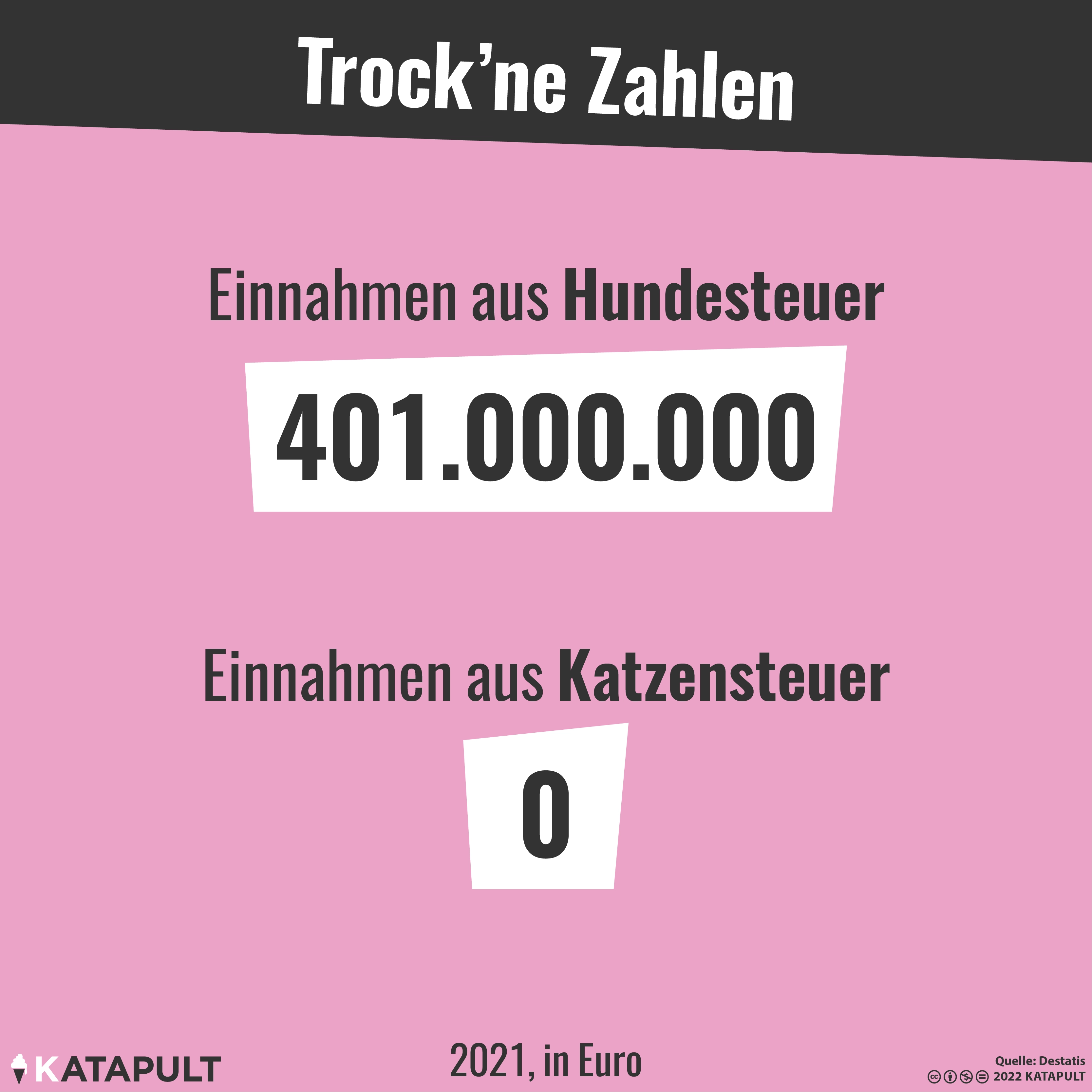 Kampfhunde sind besonders teuer