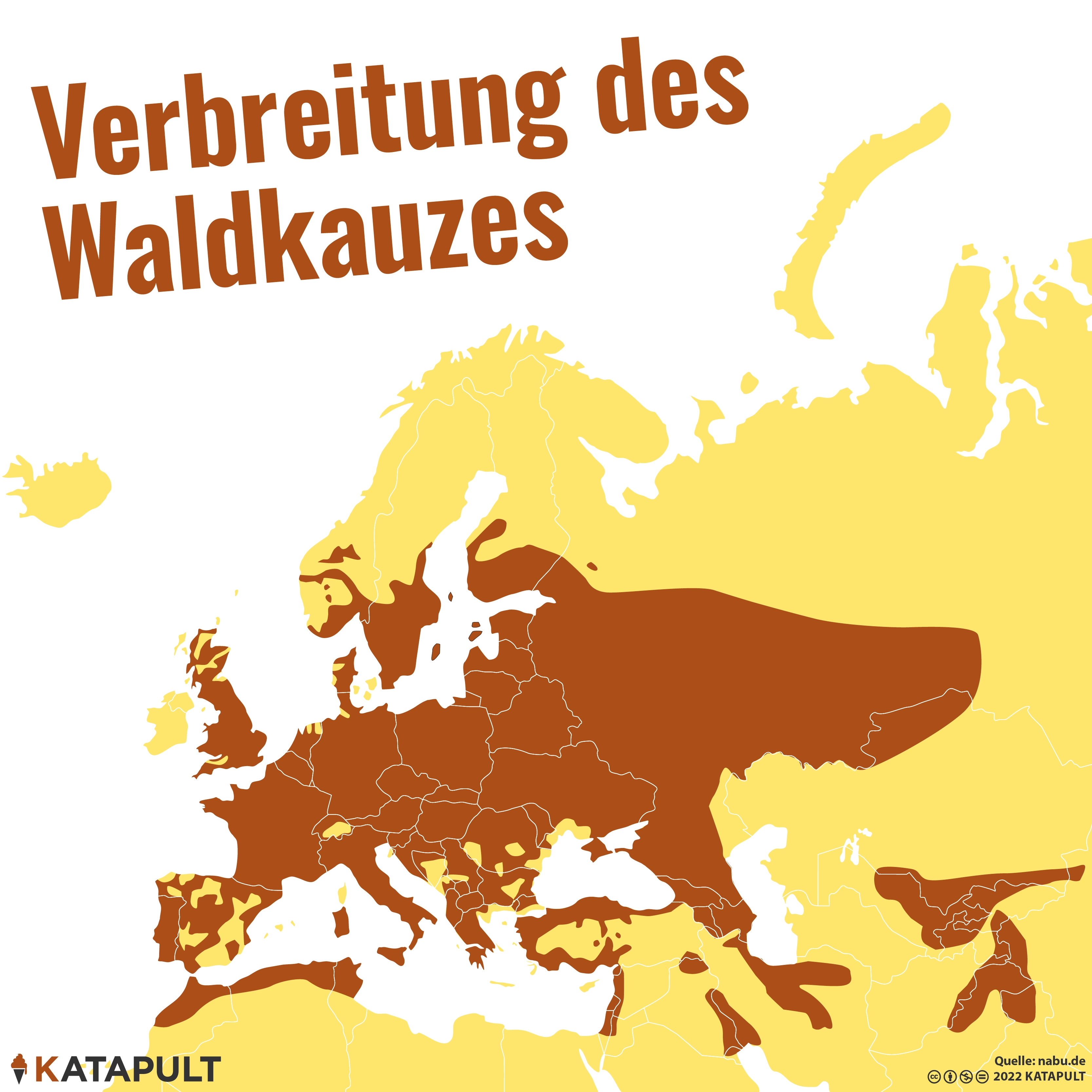 Klimawandel färbt Eulen braun