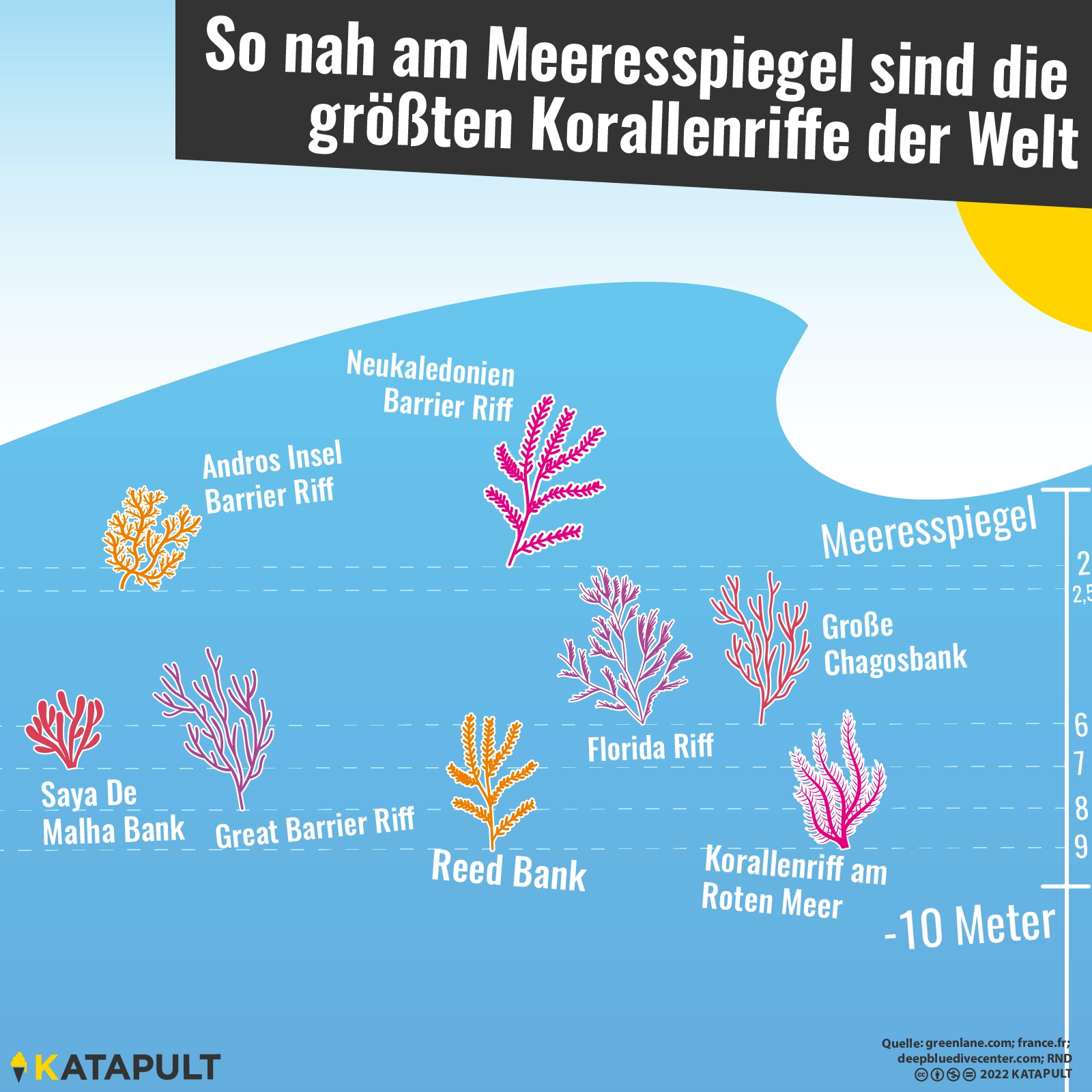 Korallenriff entdeckt!
