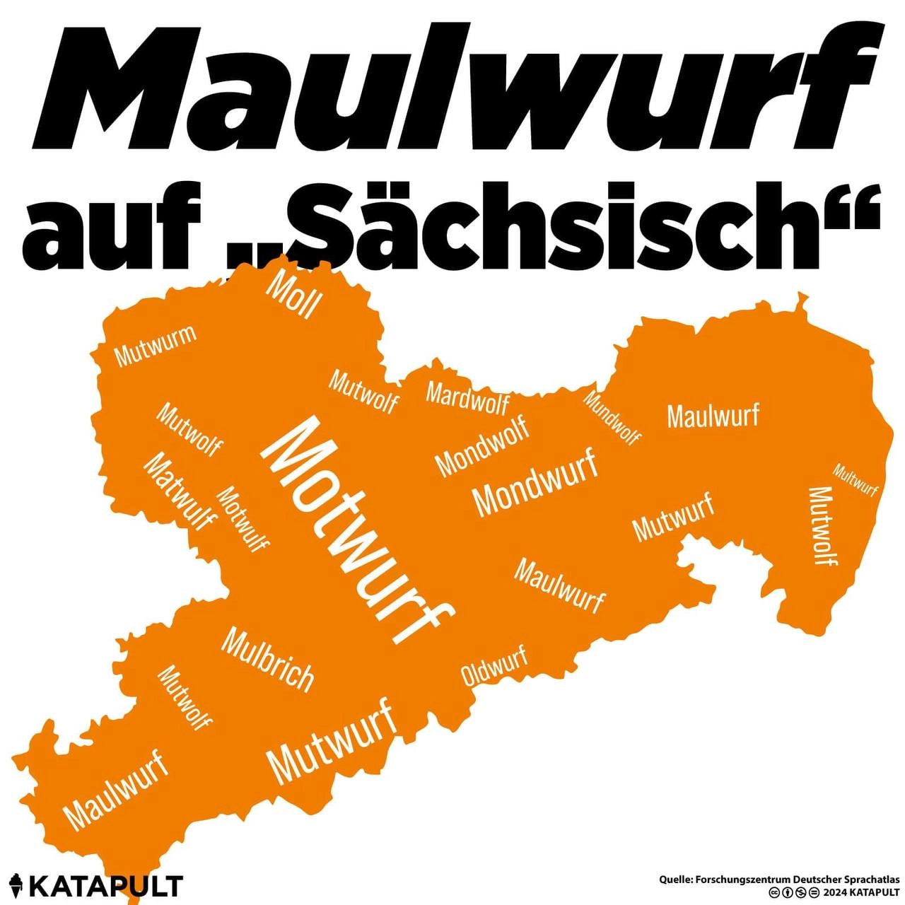 Maulwurf auf Sächsisch
