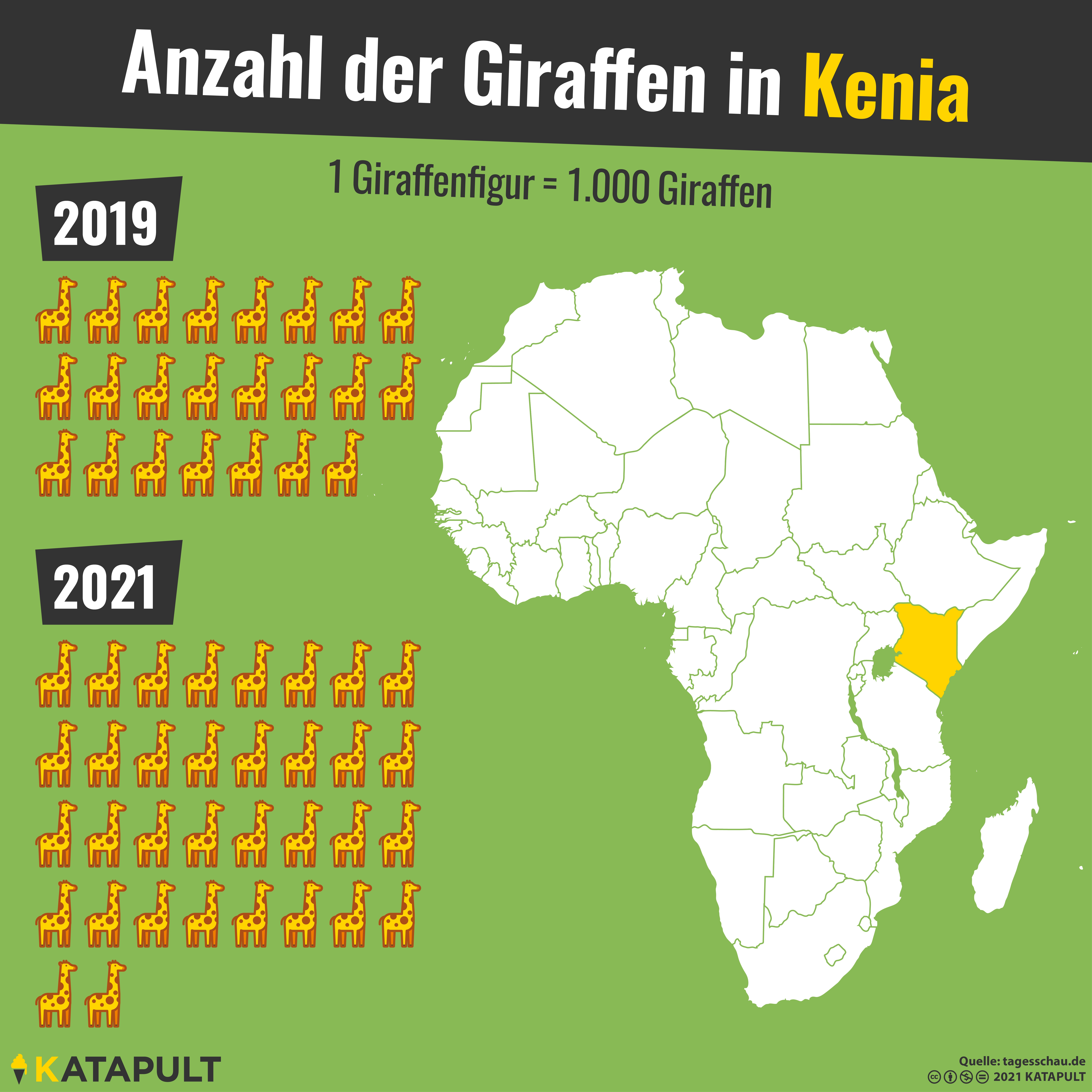 Mehr Giraffen!