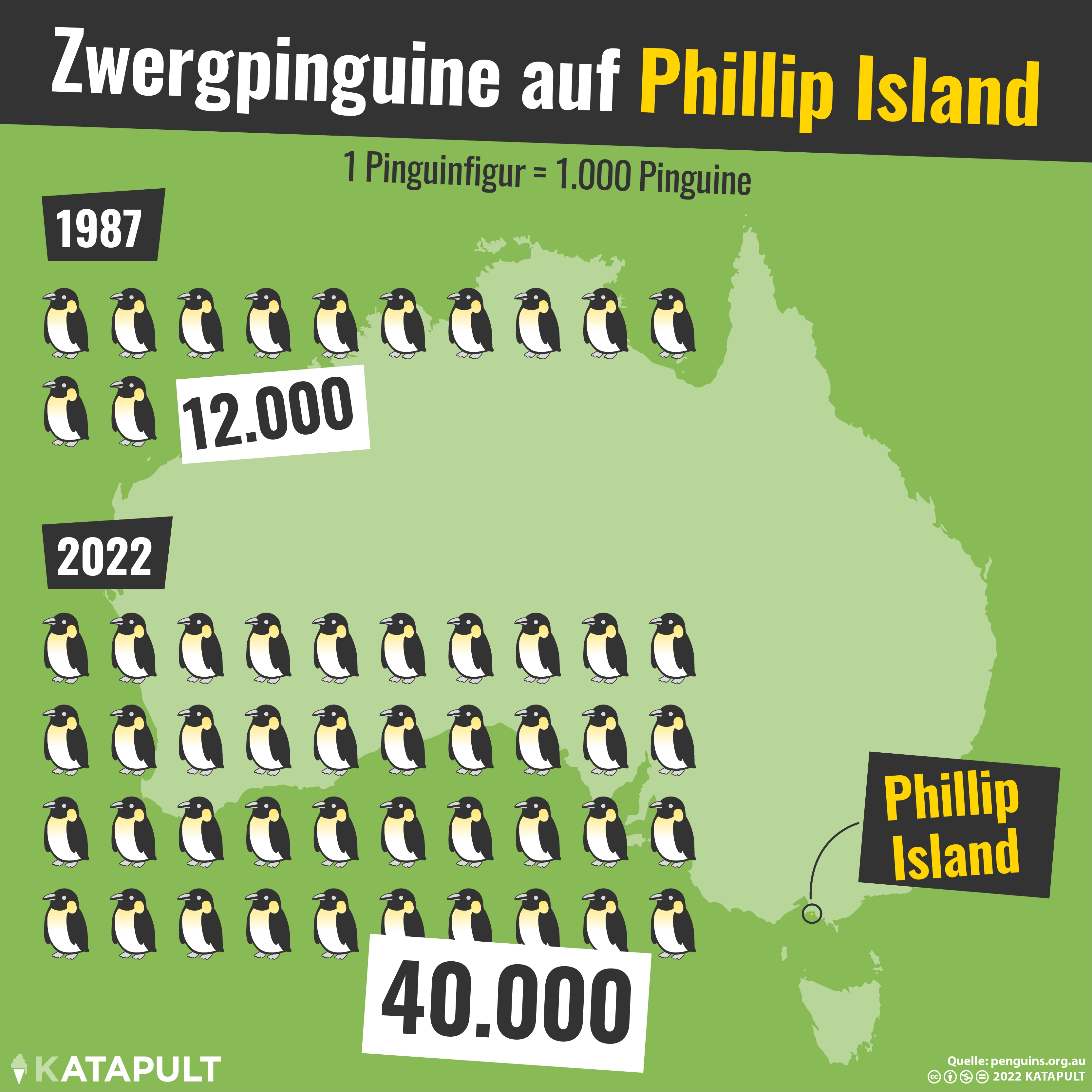 Mehr Zwergpinguine