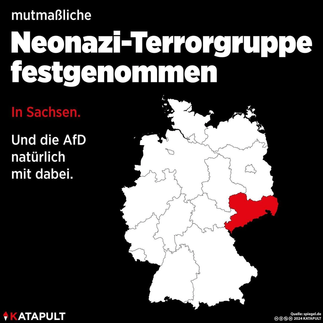 Mutmaßliche Neonazi-Terrorgruppe festgenommen