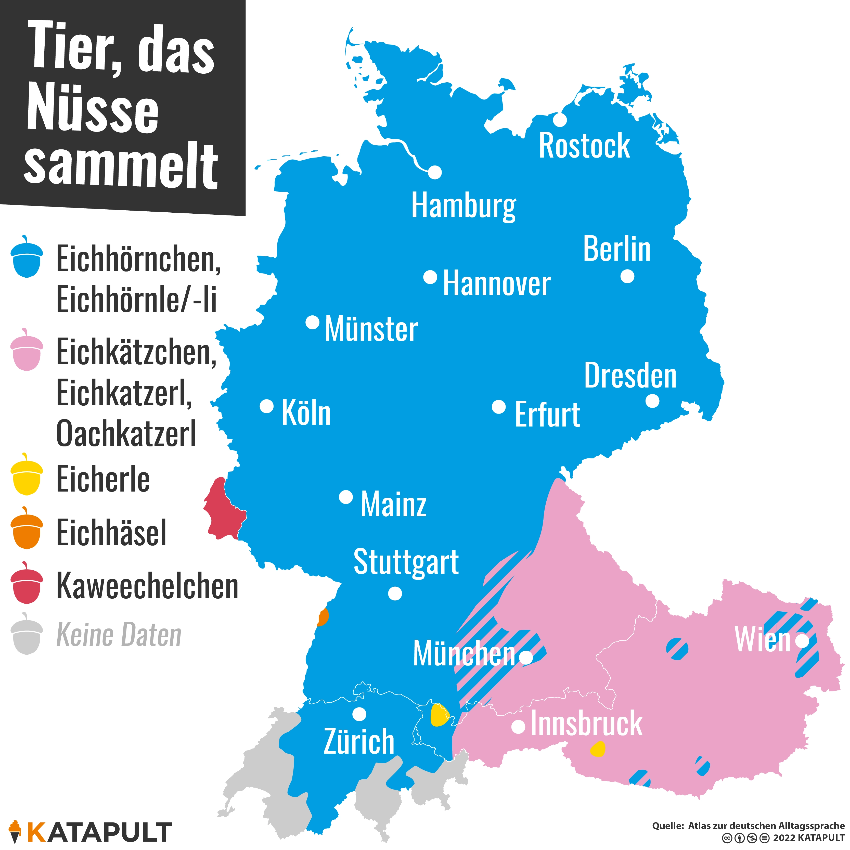 Im Herbst Nüsse sammeln