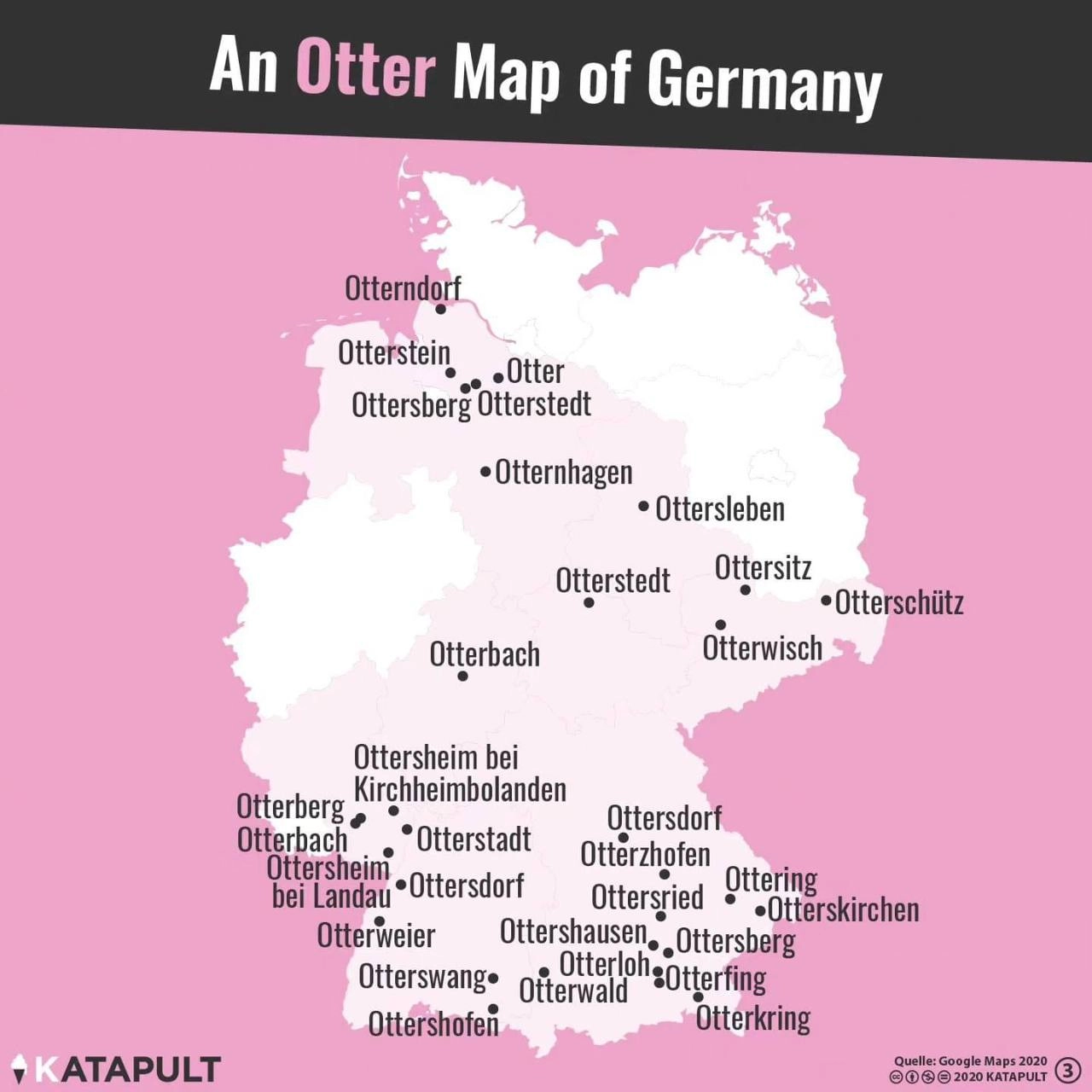 Otterly amazing
