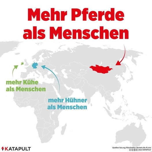 Sattelt die Hühner!