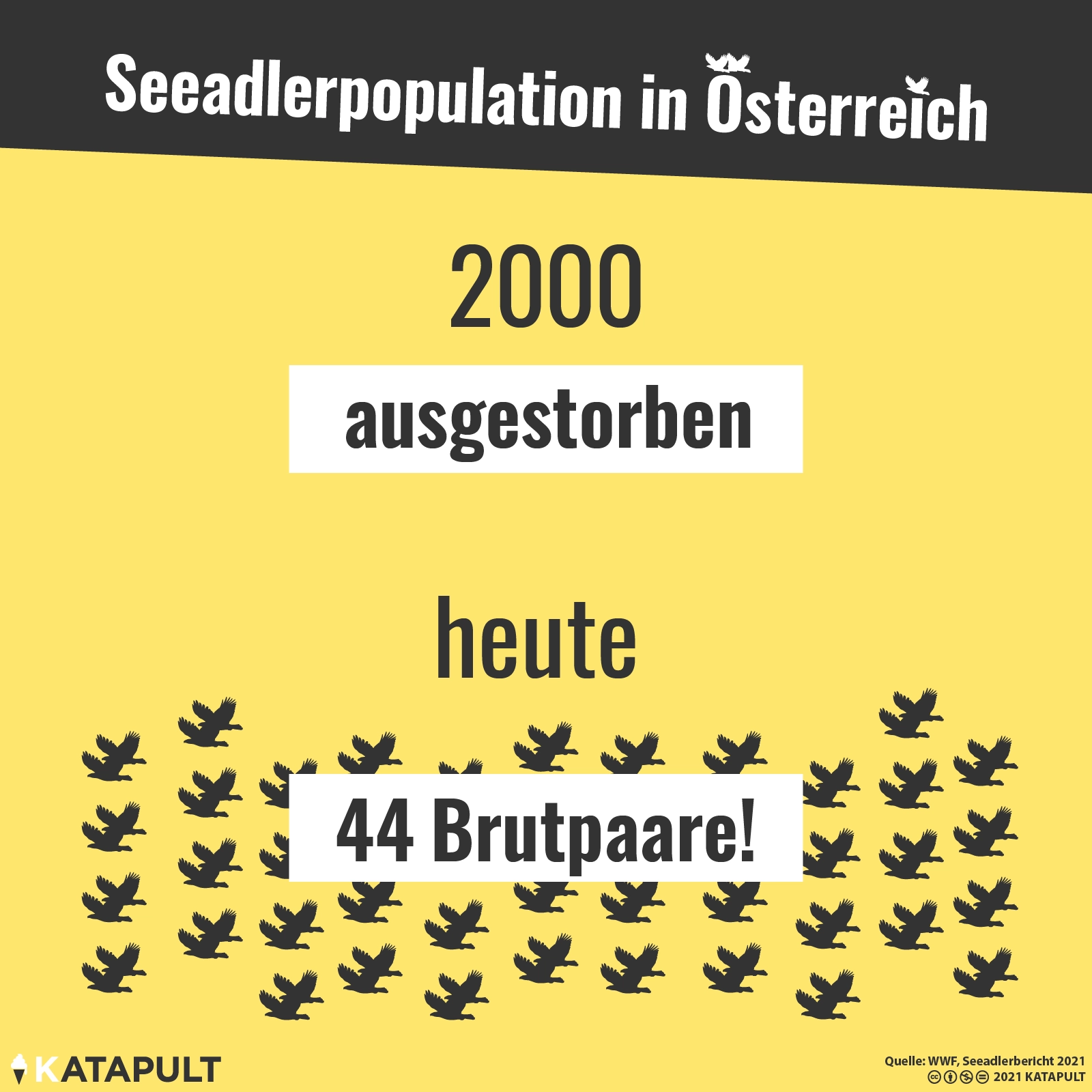 Sie fliegen wieder