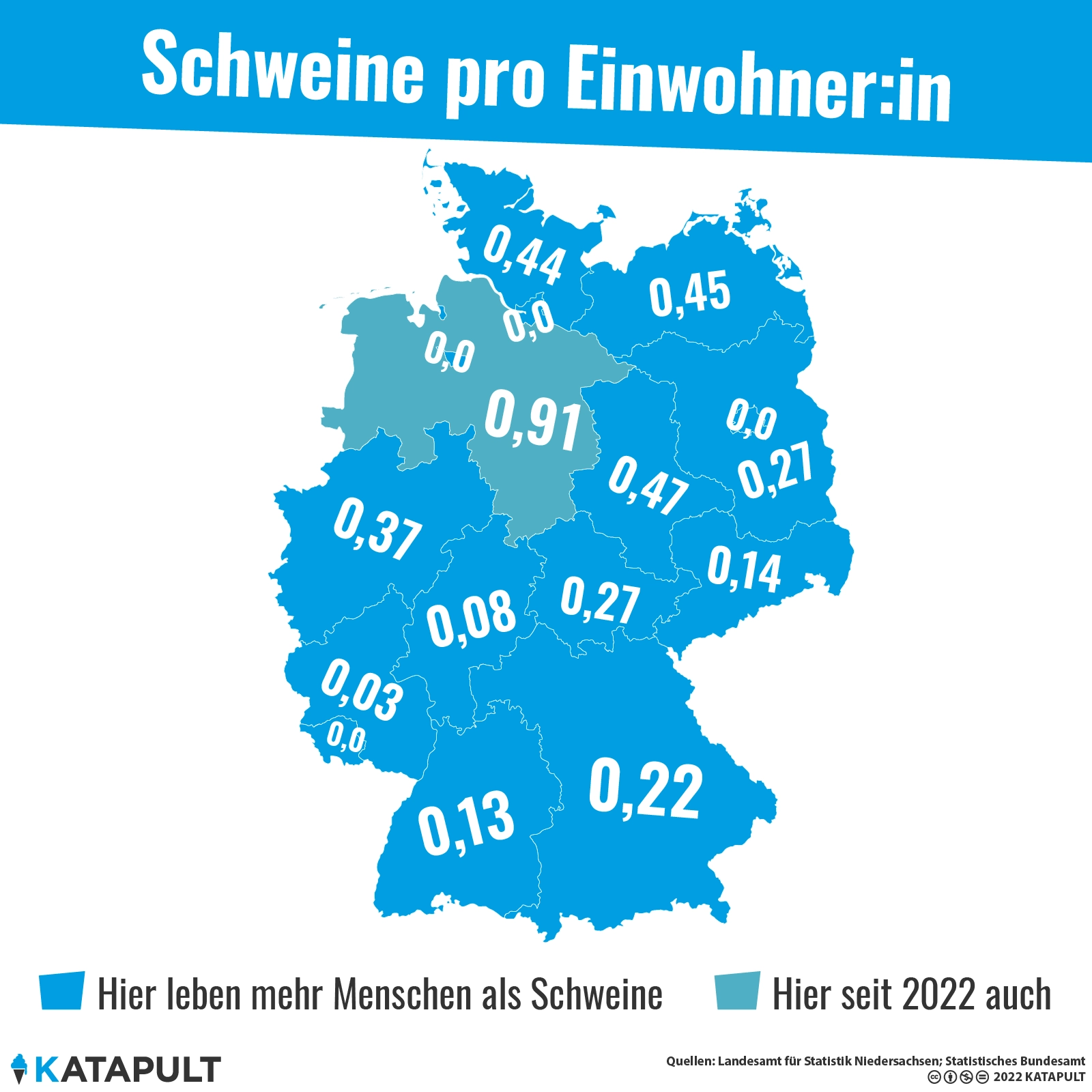 Überall mehr Menschen als Schweine